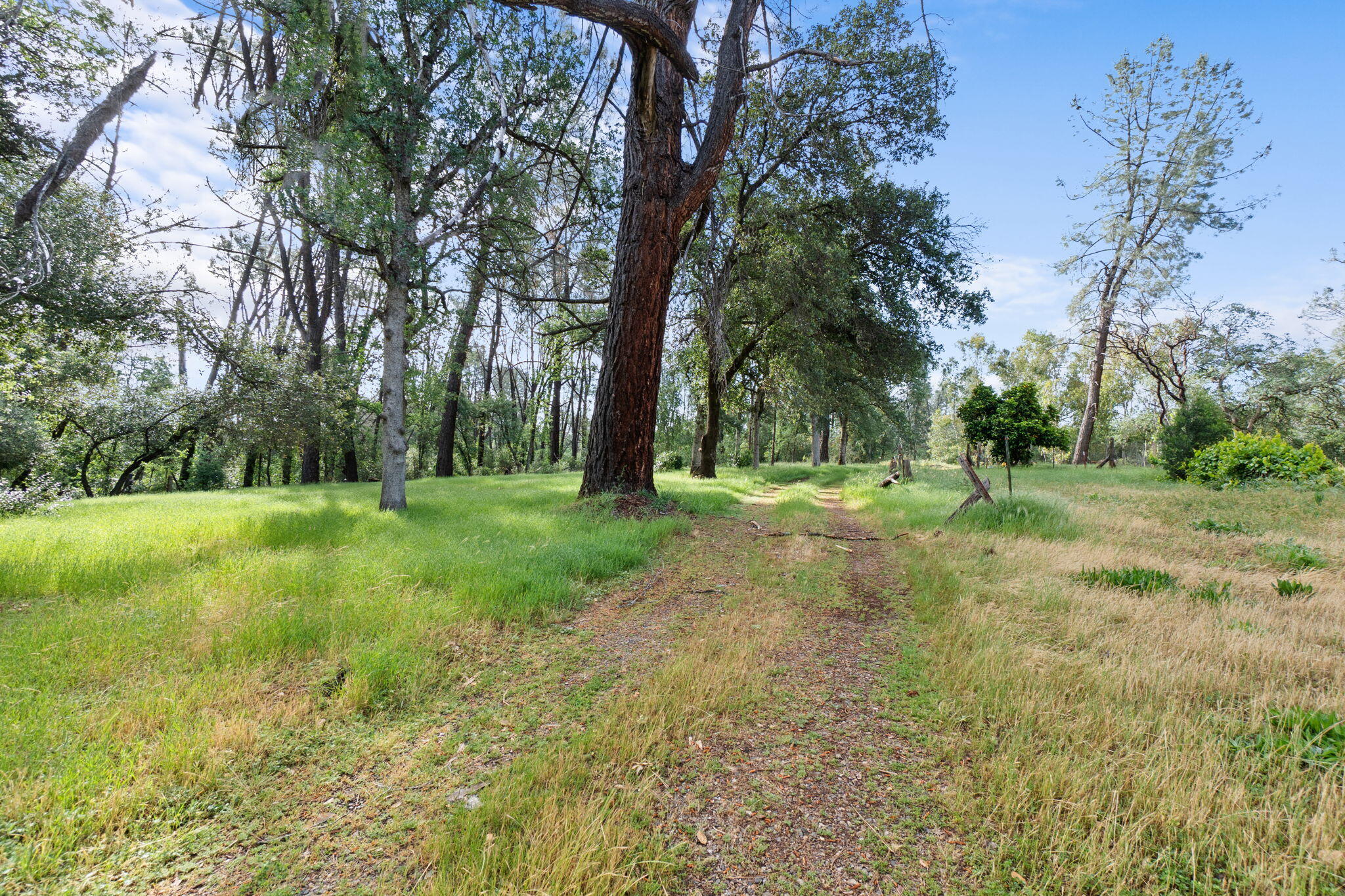 17995 Spanish Canyon Lane