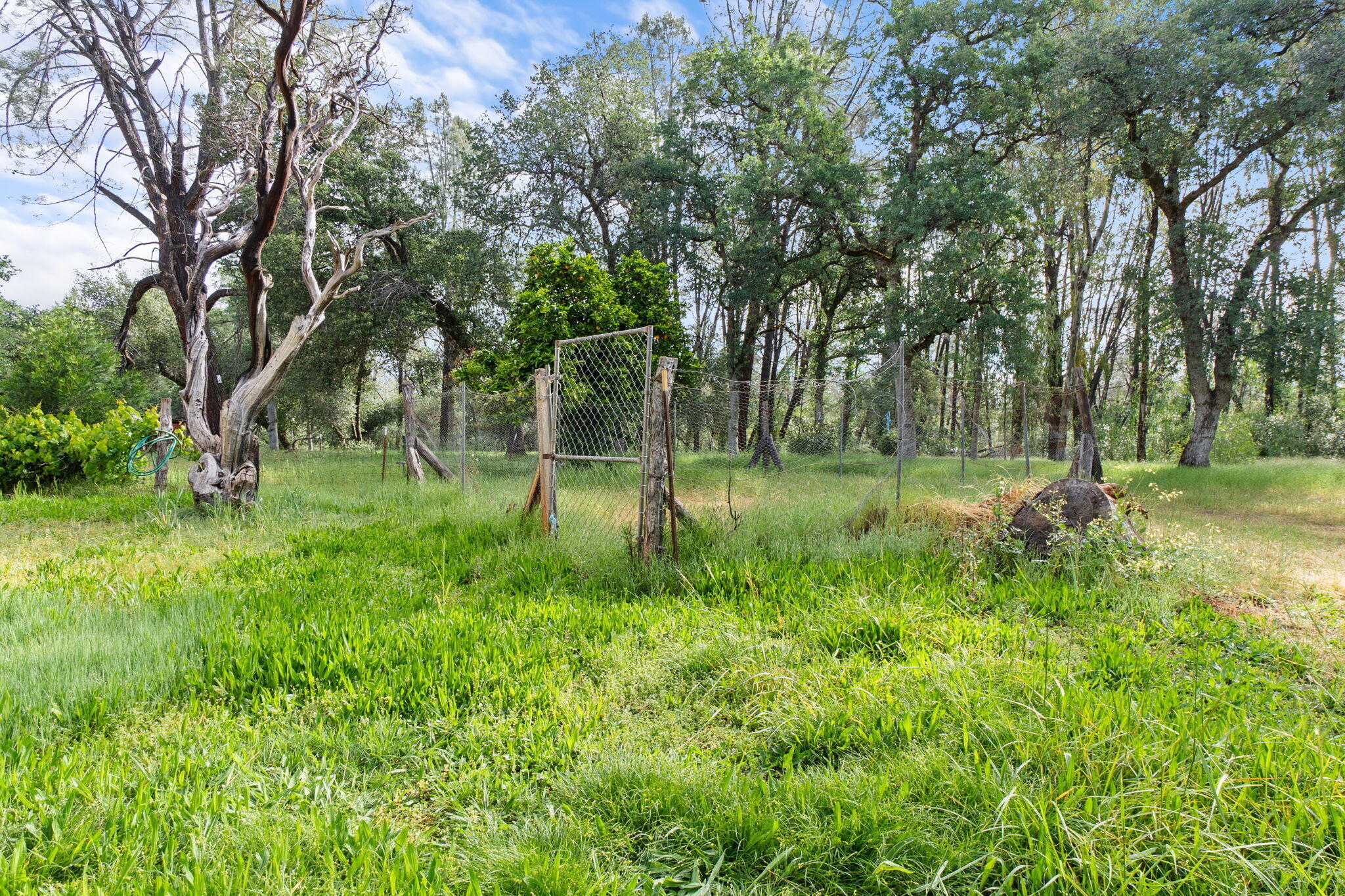 17995 Spanish Canyon Lane