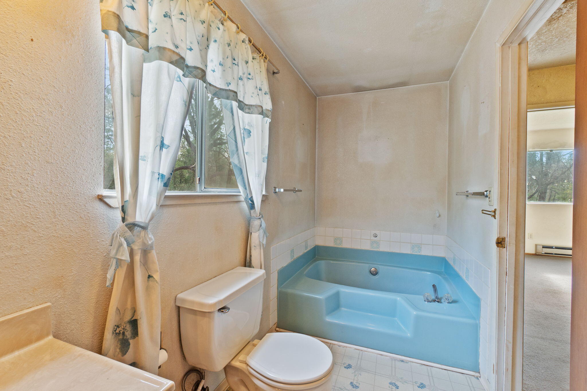 17995 Spanish Canyon Lane