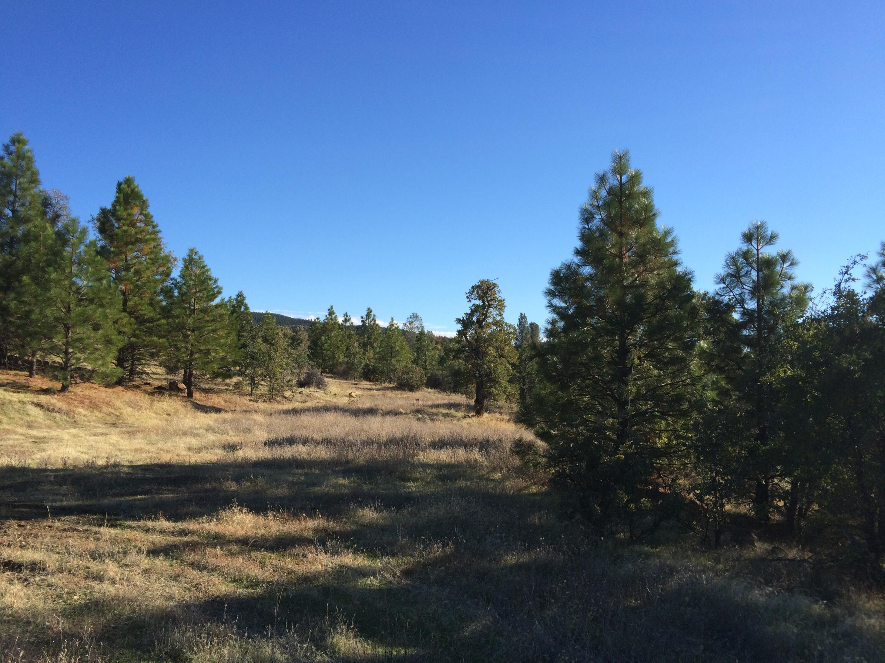 17759 Patterson Ranch Road