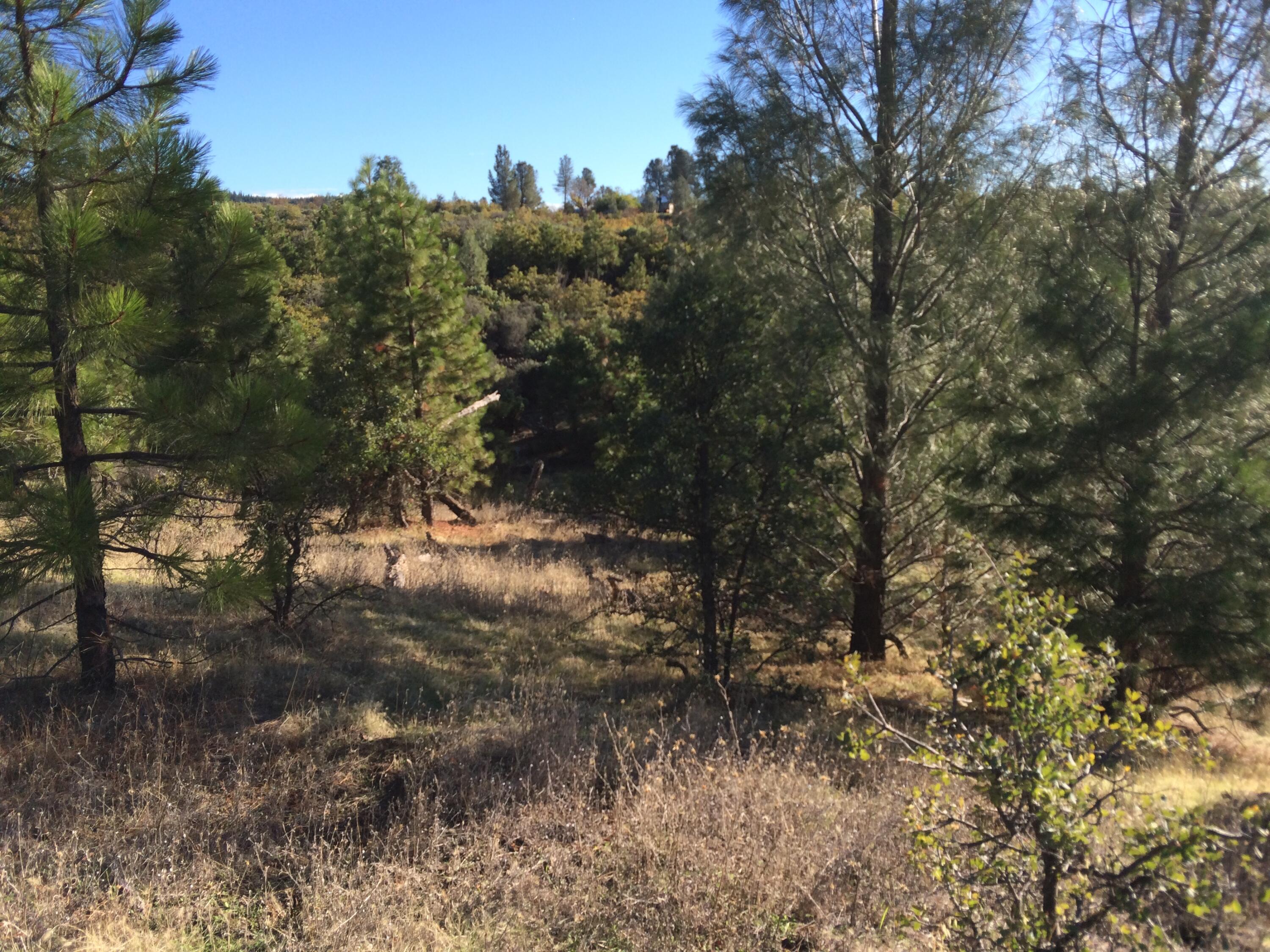 17759 Patterson Ranch Road