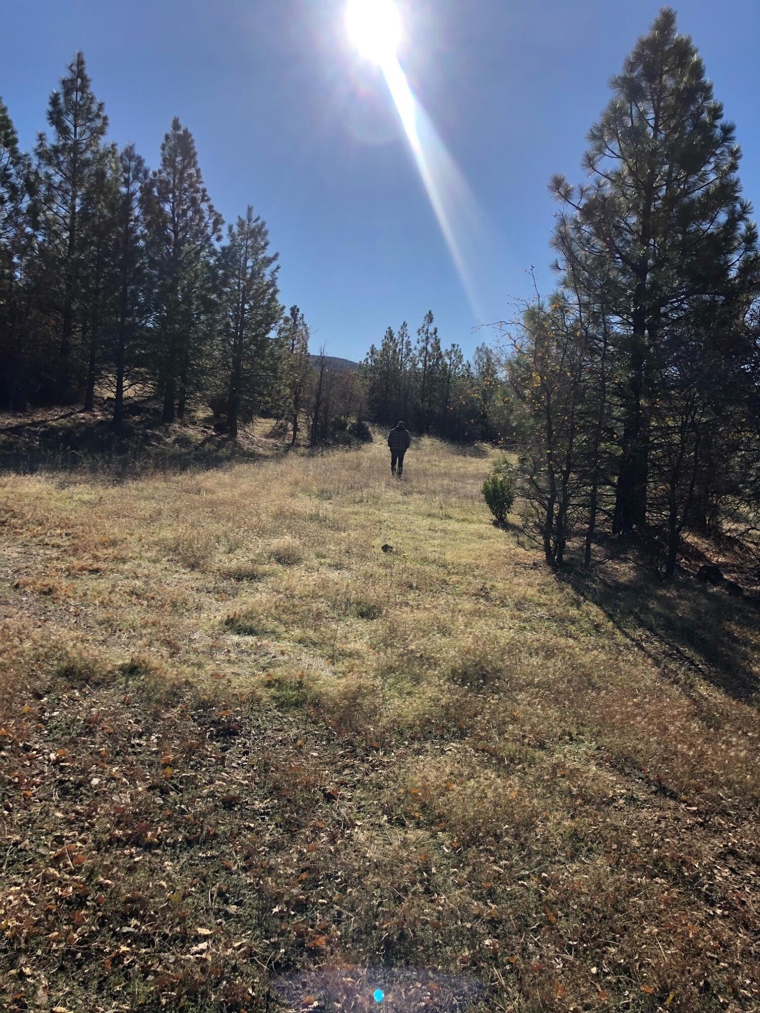 17759 Patterson Ranch Road