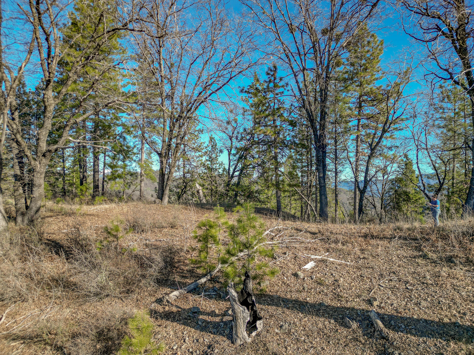 18670 Ycotti Creek Ridge Road