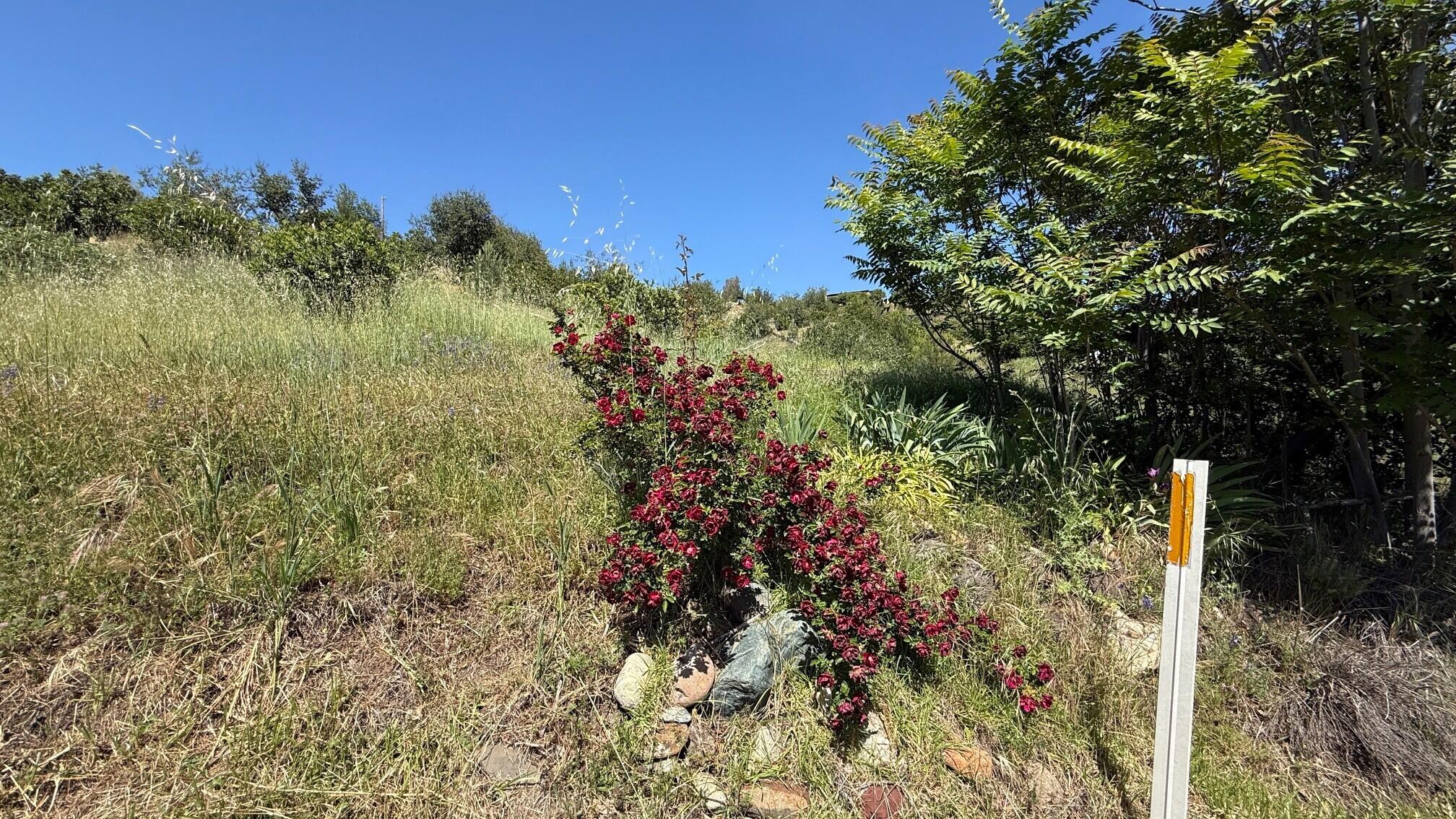 15672 Swasey Mine Lane