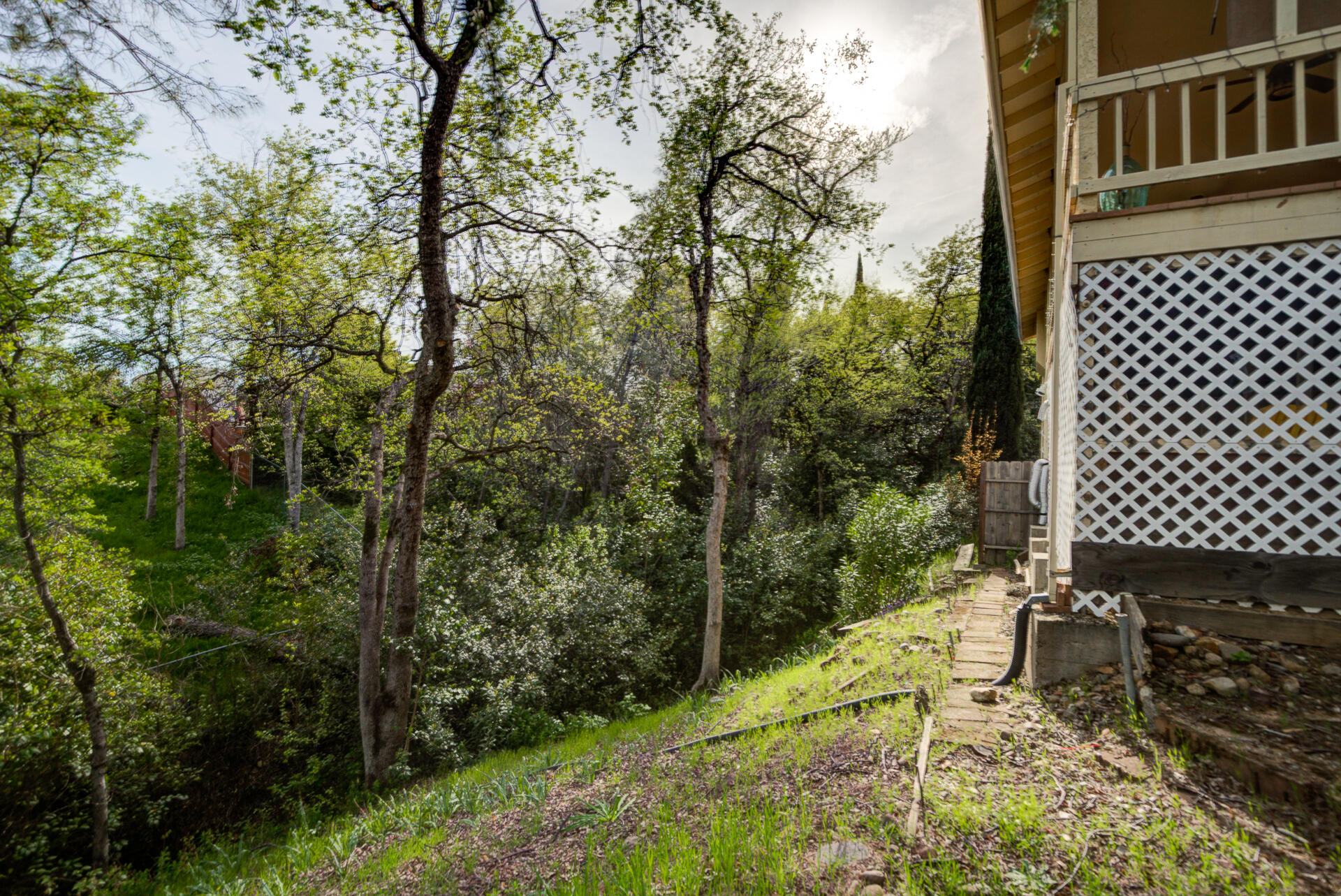 3849 Appalachian Way