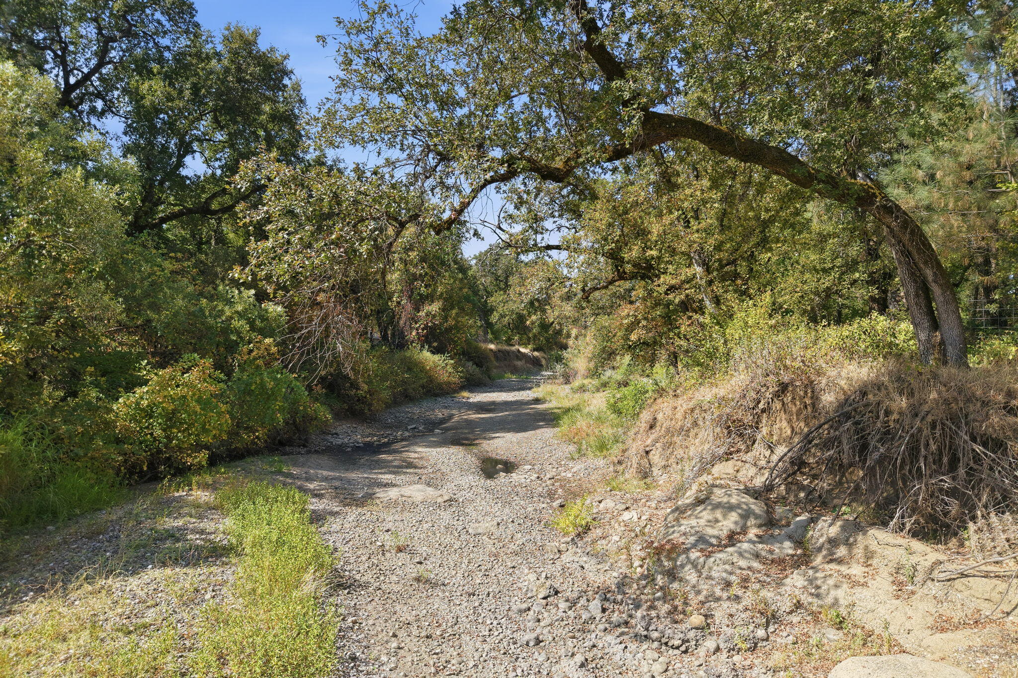 10971 Oak Run Road