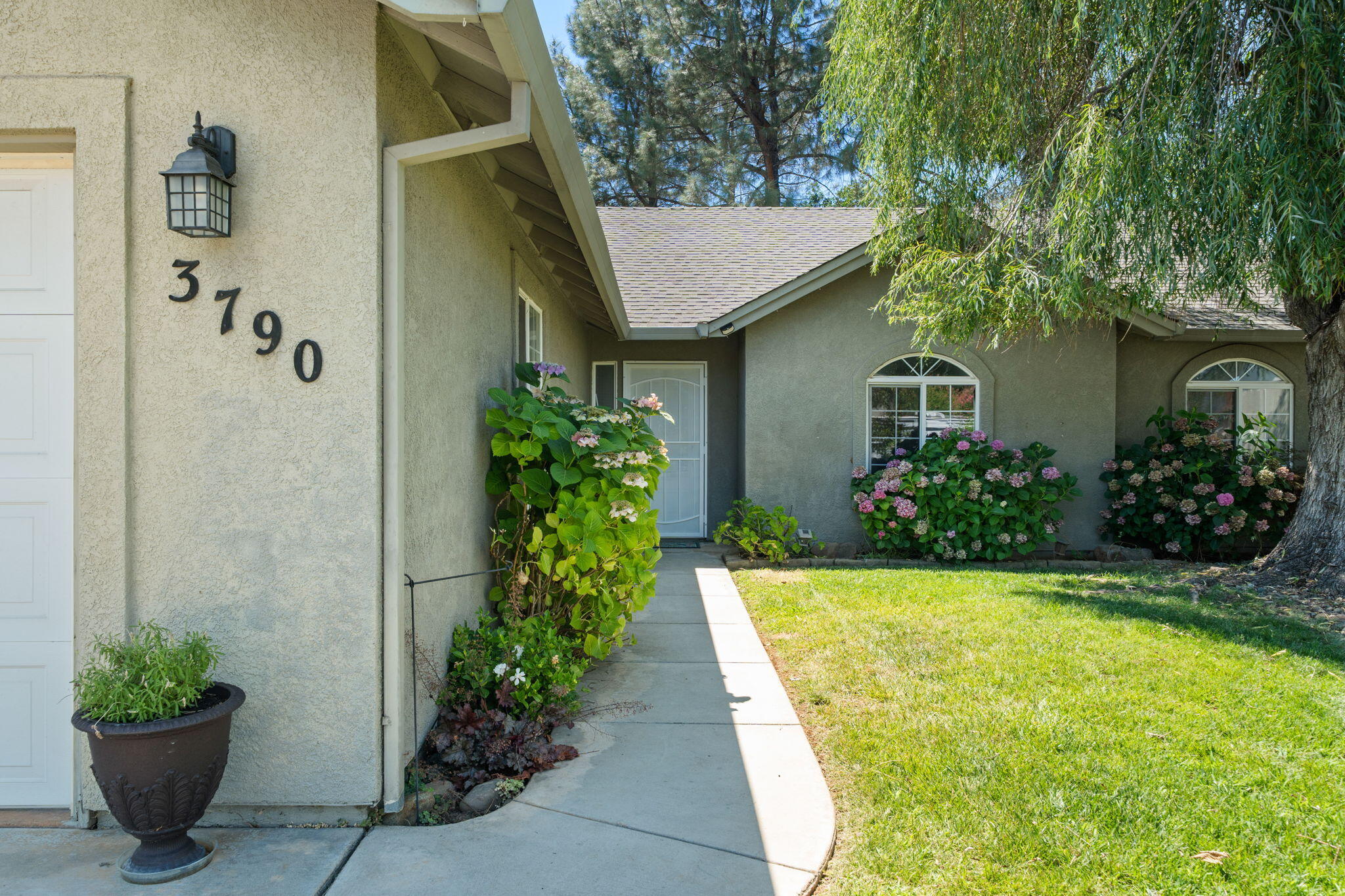 3790 Indio Way