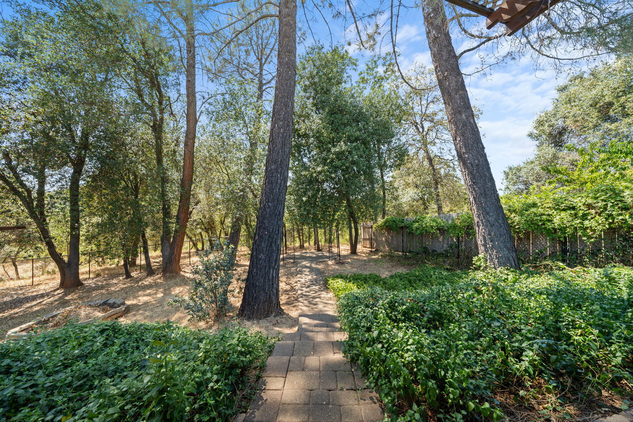 3790 Indio Way