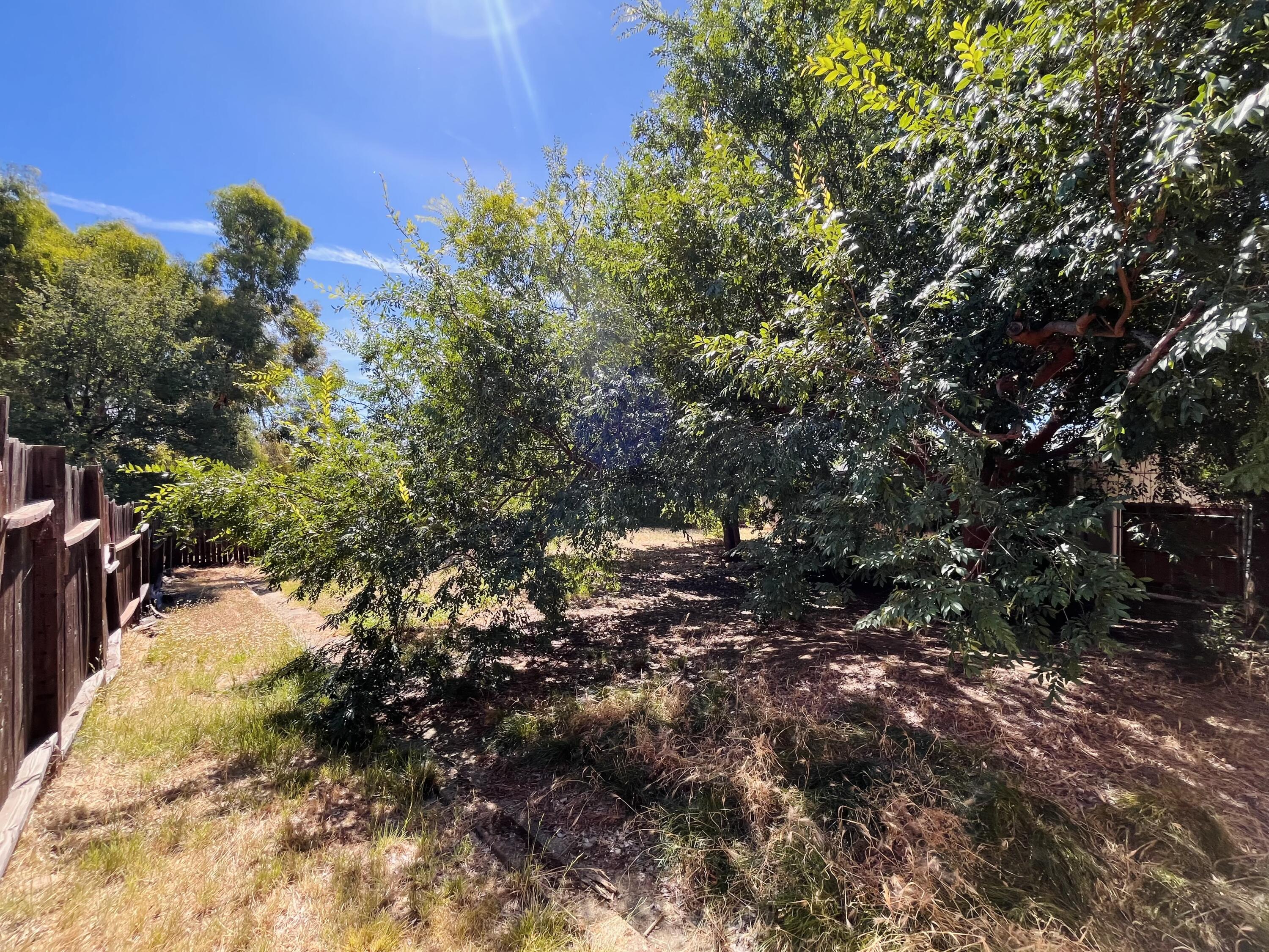 1026 Moss Creek Road