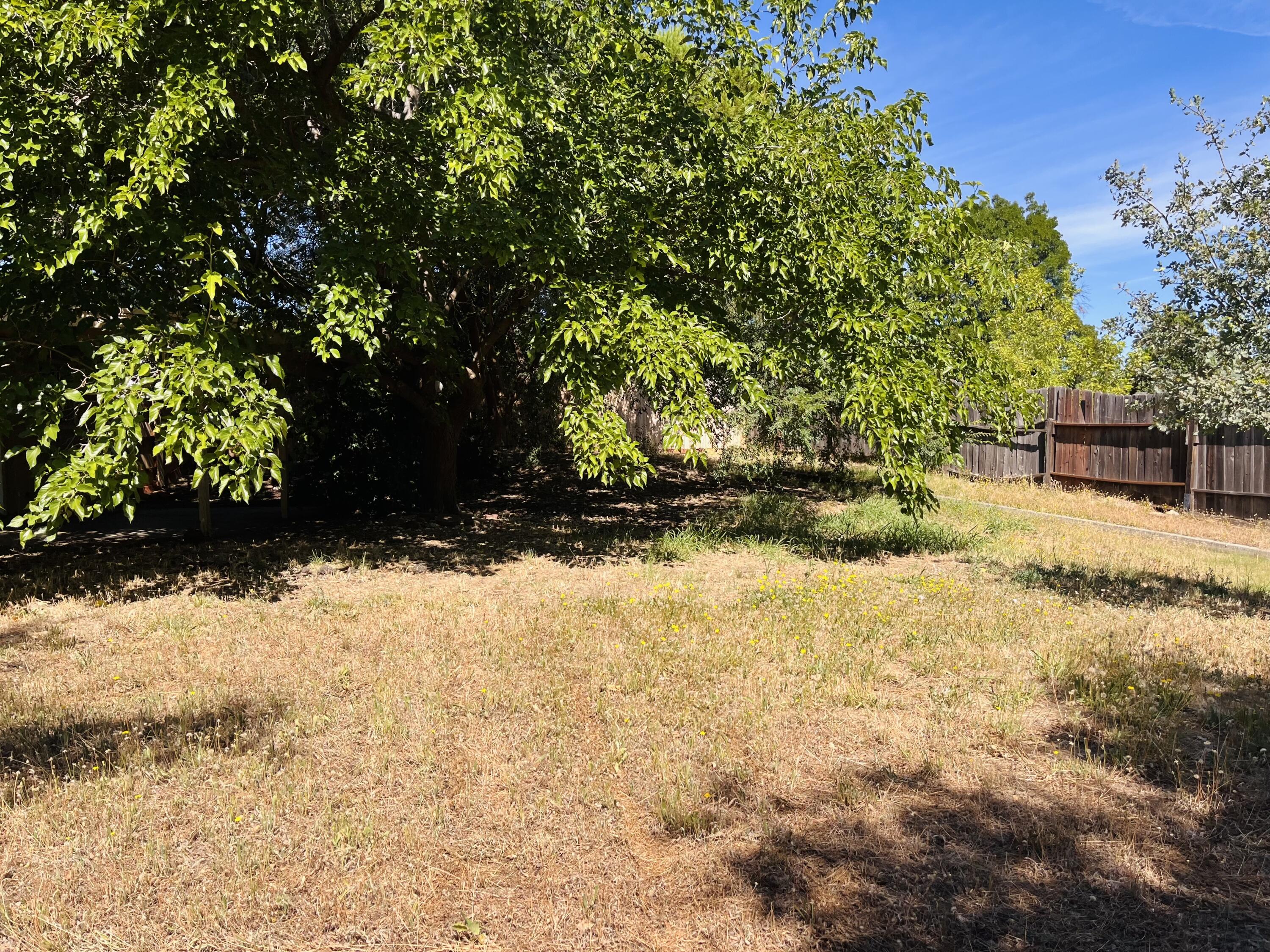 1026 Moss Creek Road