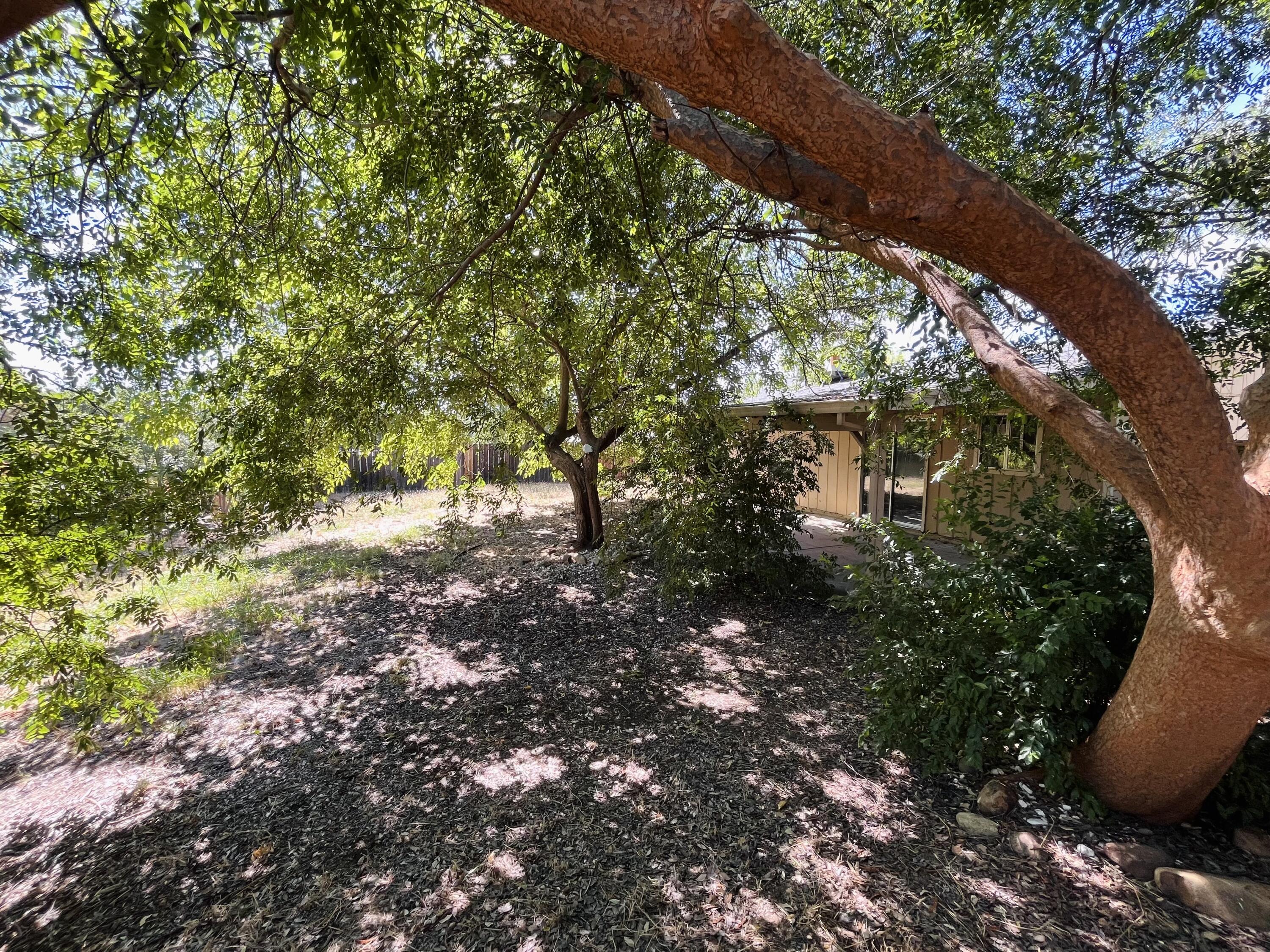 1026 Moss Creek Road