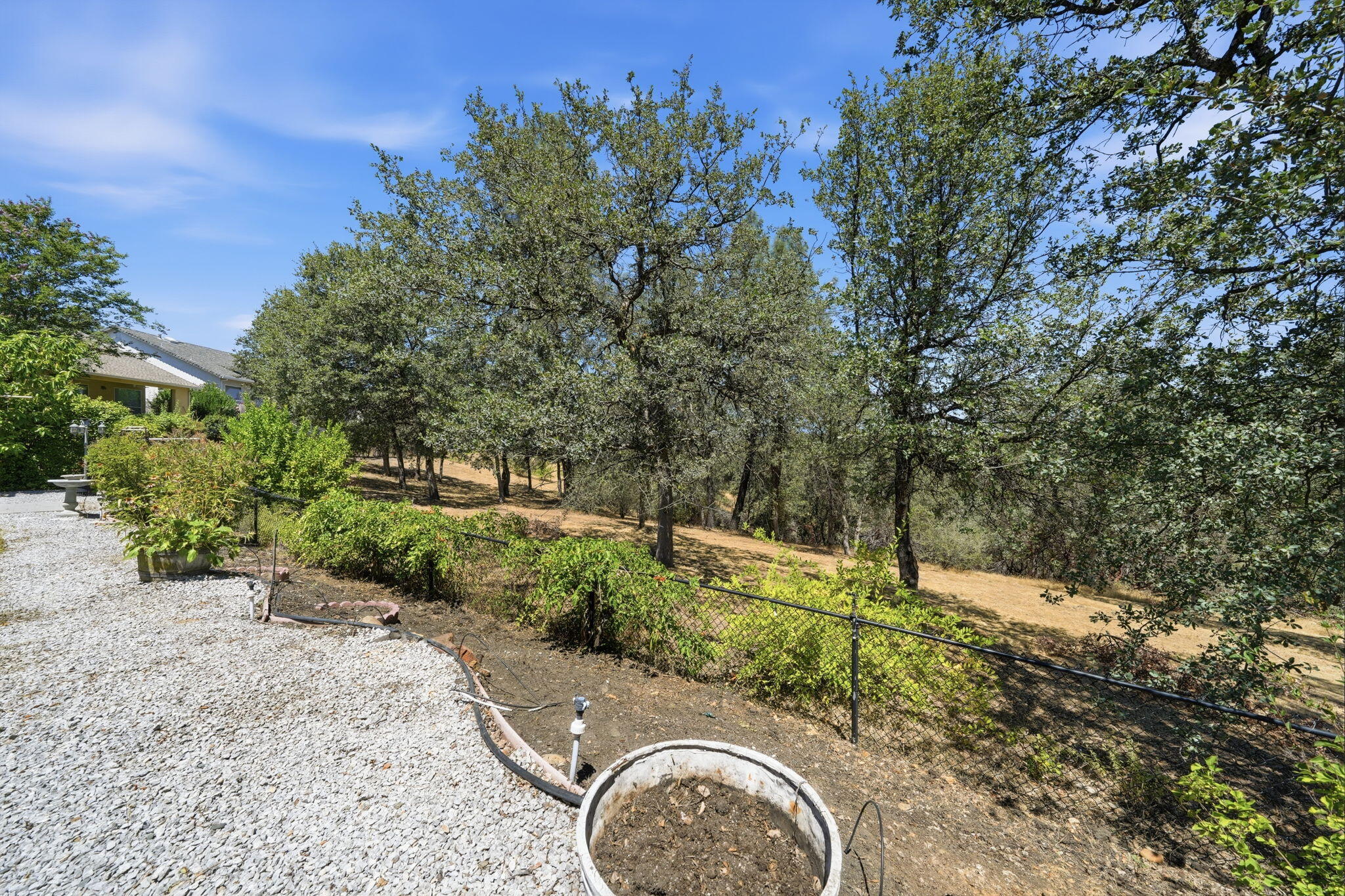 1114 Snowcap Trail