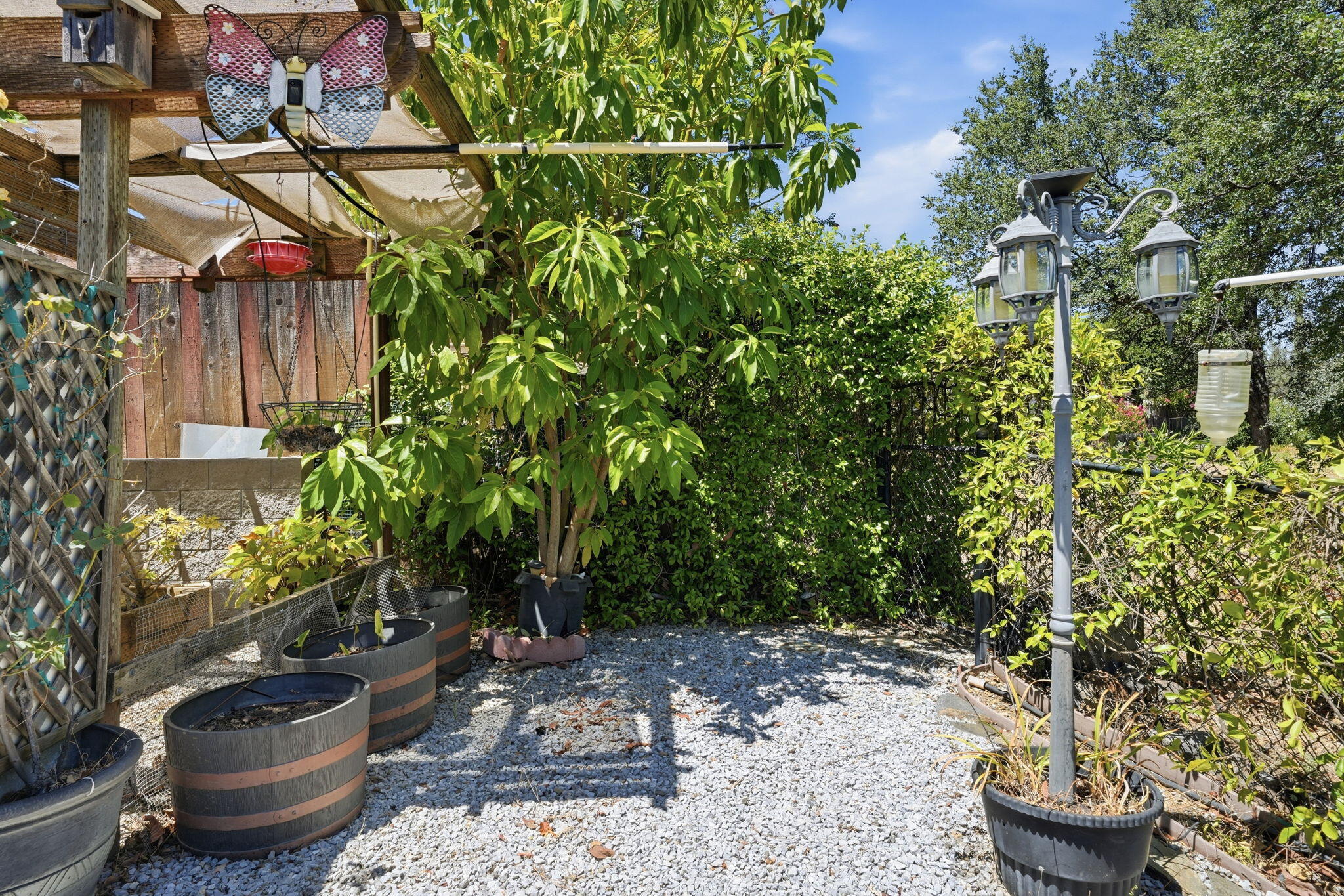 1114 Snowcap Trail