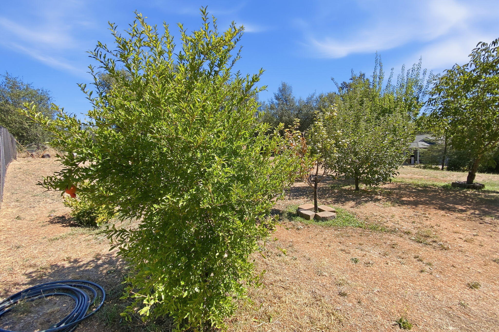 4521 Arrow Rock Avenue