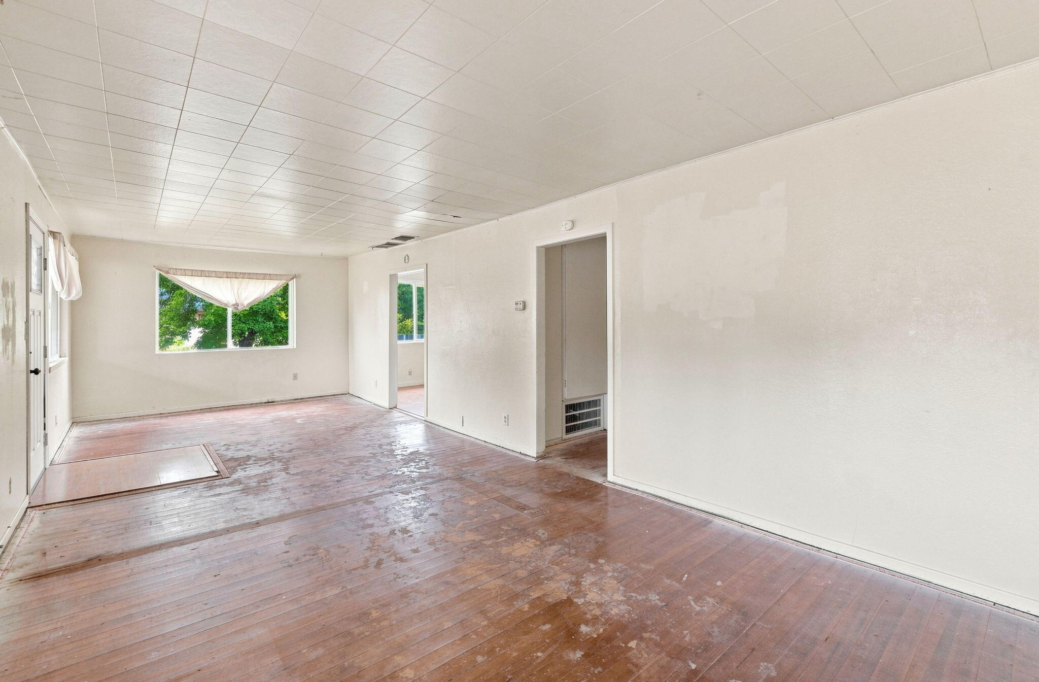 1669 Mistletoe Lane