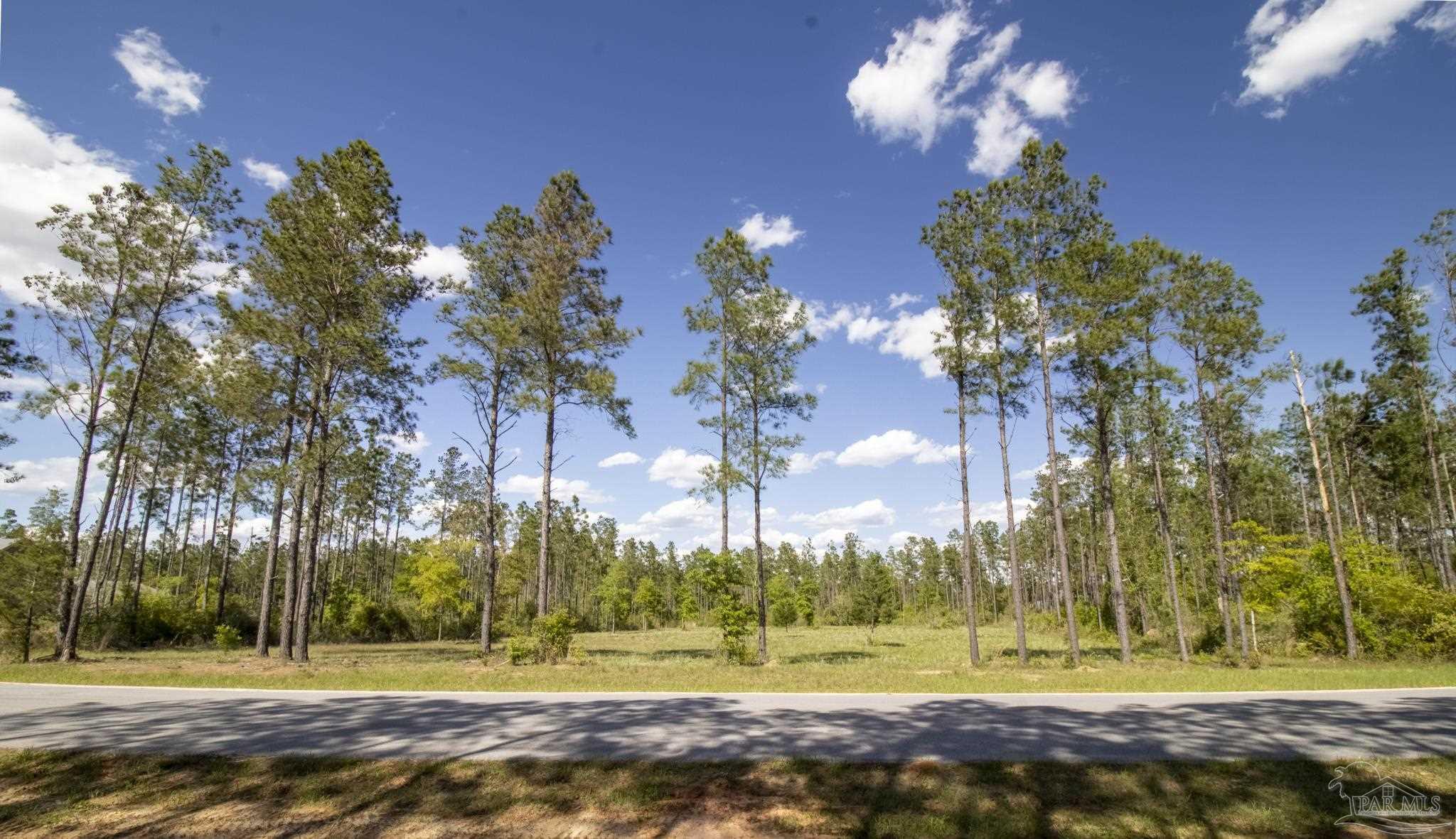 TBD Sage Forest Ln