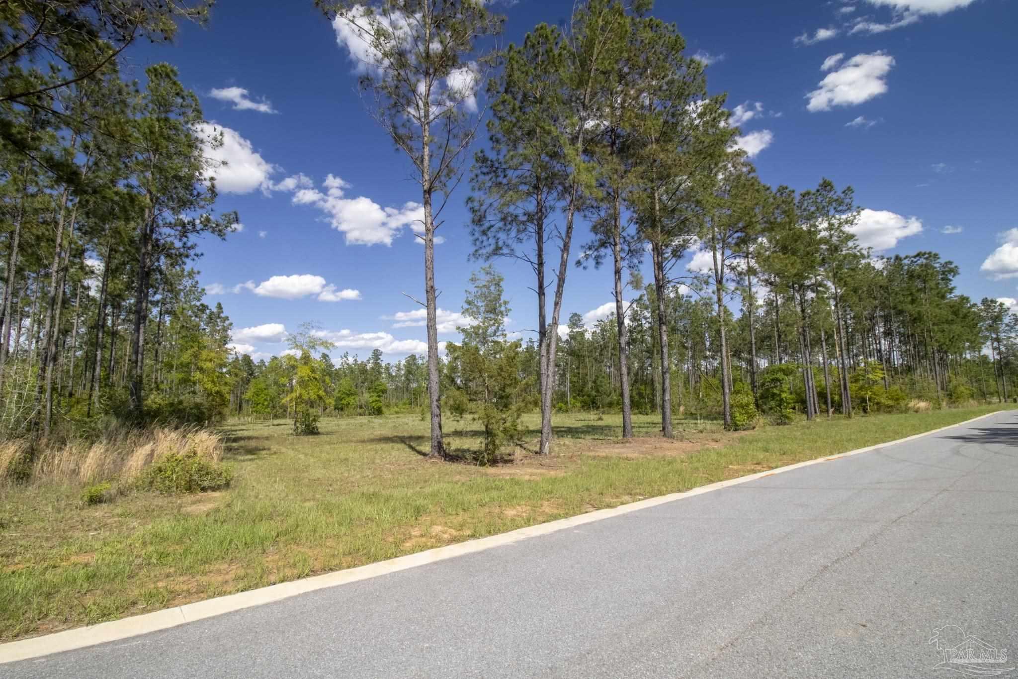 TBD Sage Forest Ln