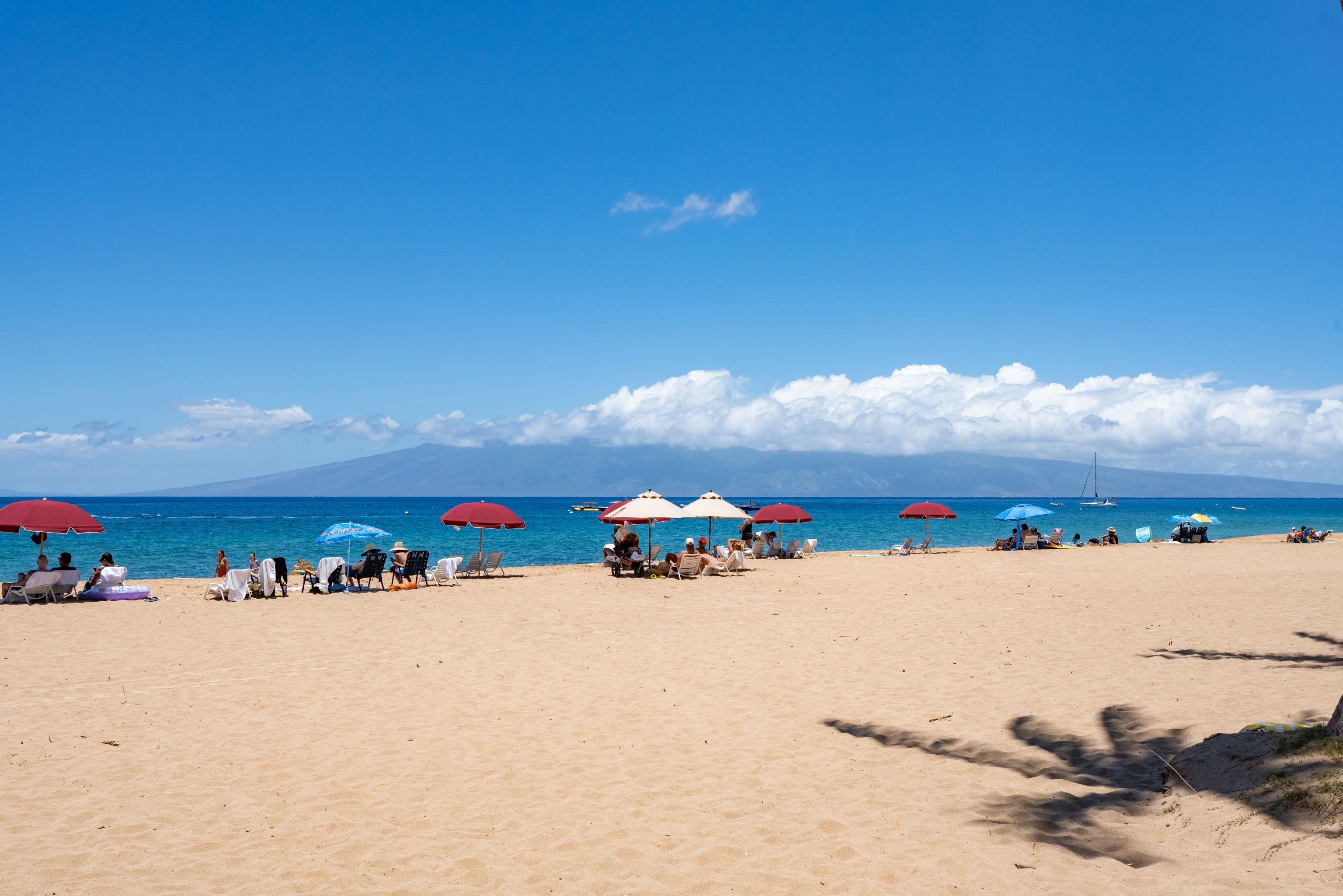 50 Nohea Kai Dr Unit: 2-1106