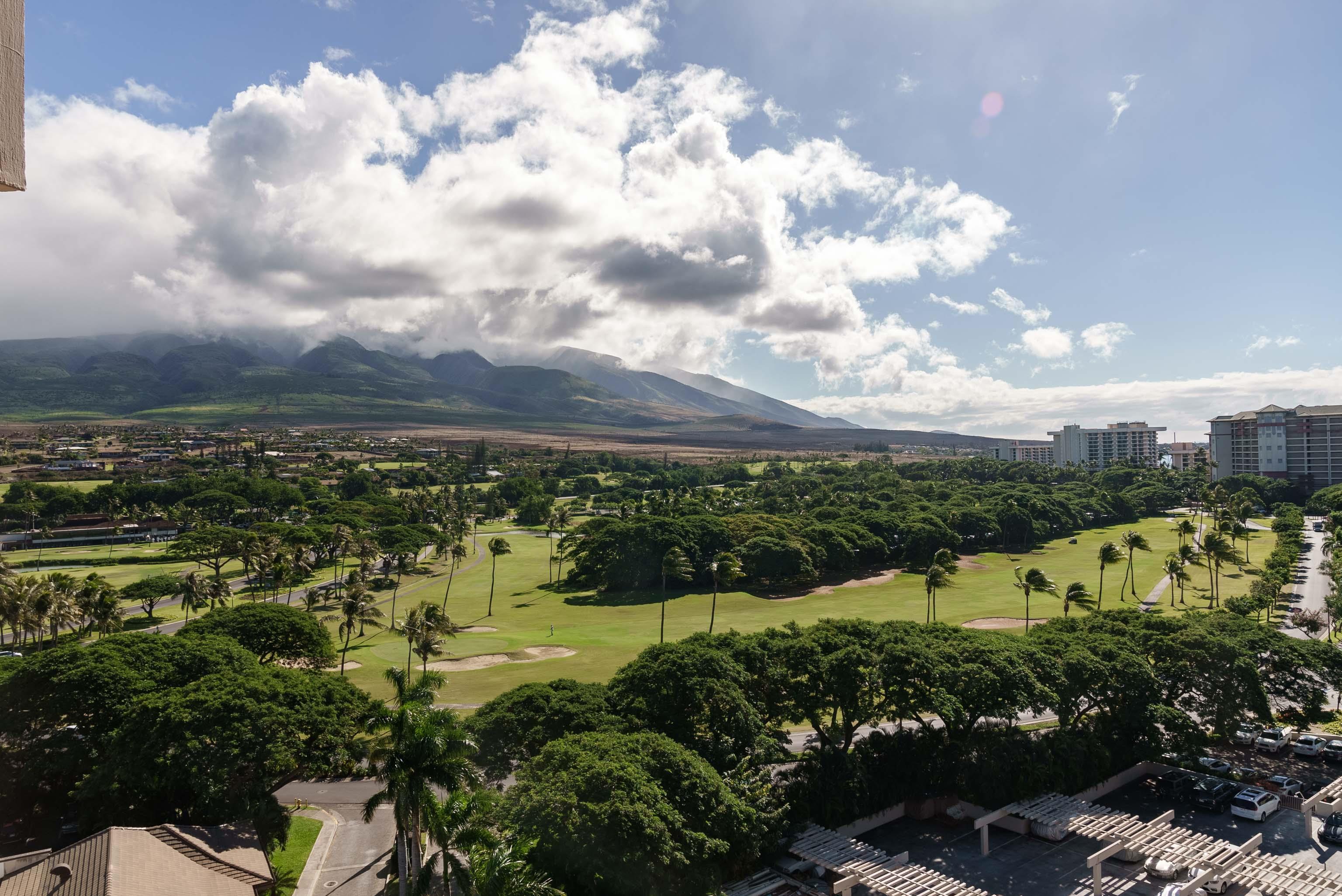 50 Nohea Kai Dr Unit: 2-1106