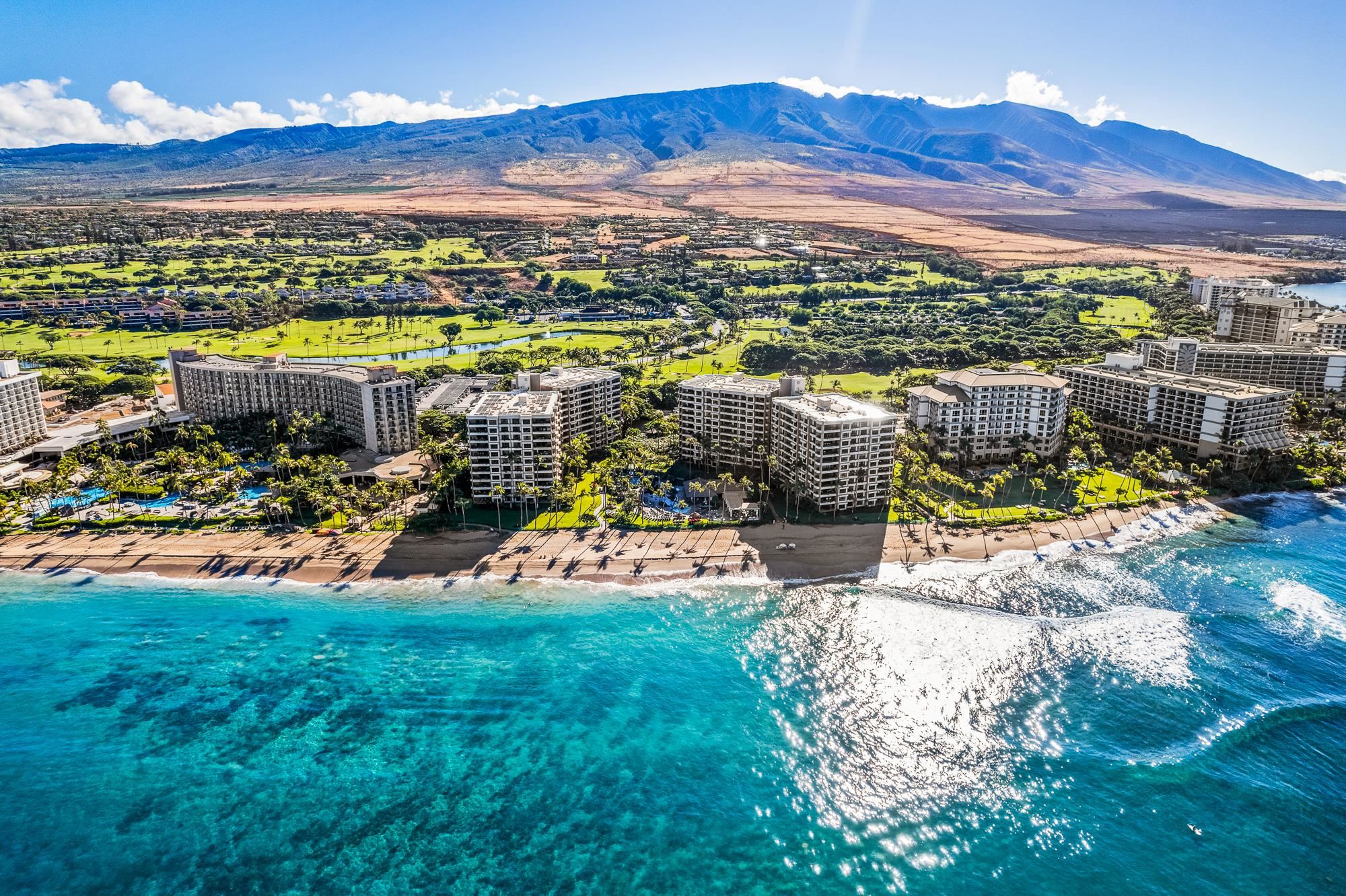 50 Nohea Kai Dr Unit: 2-305