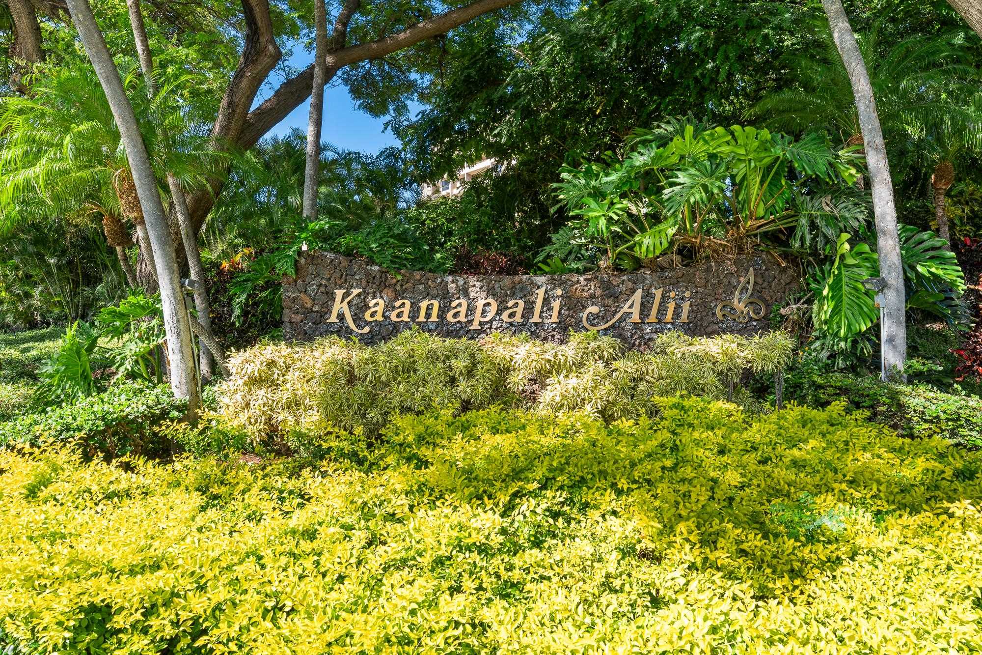 50 Nohea Kai Dr Unit: 2-401