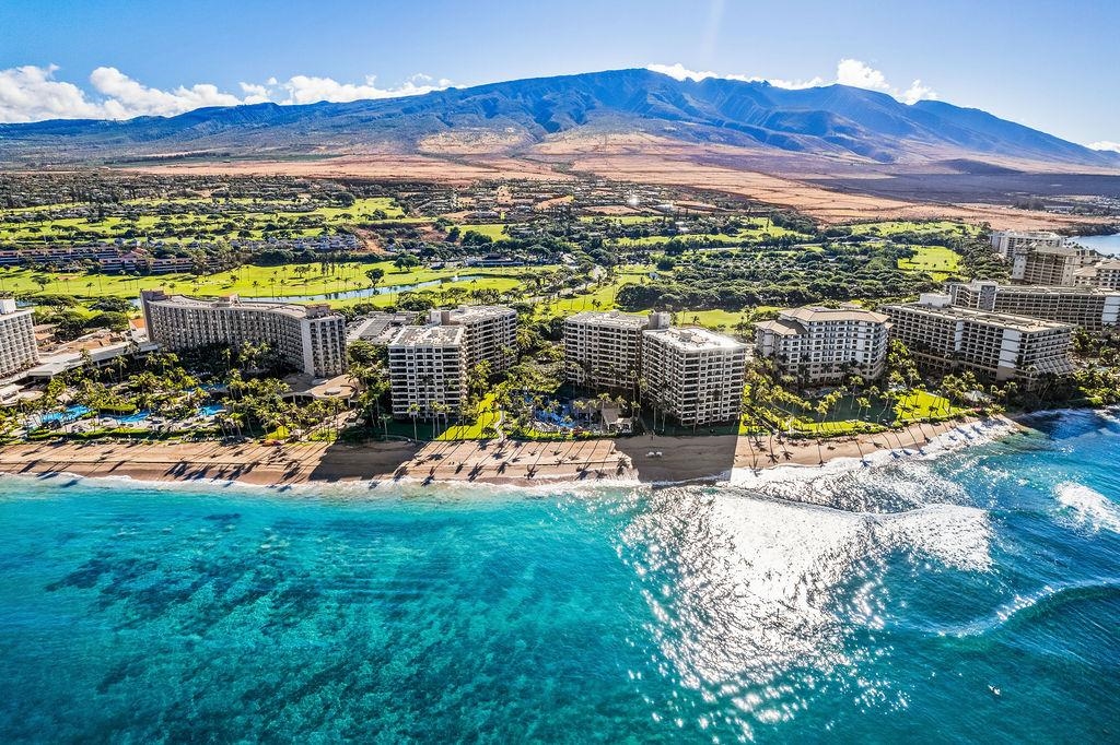 50 Nohea Kai Dr Unit: 1-1101