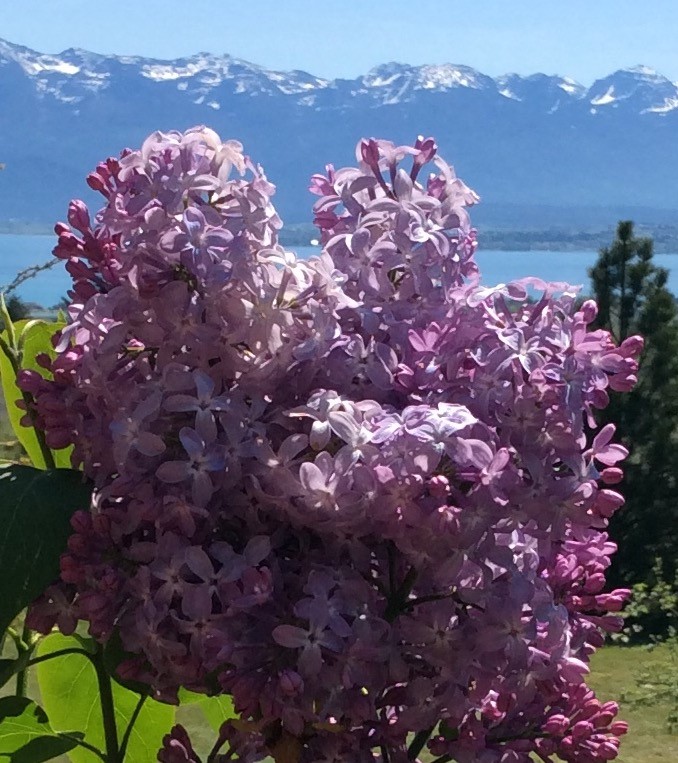 40781 Fox Johnson Road