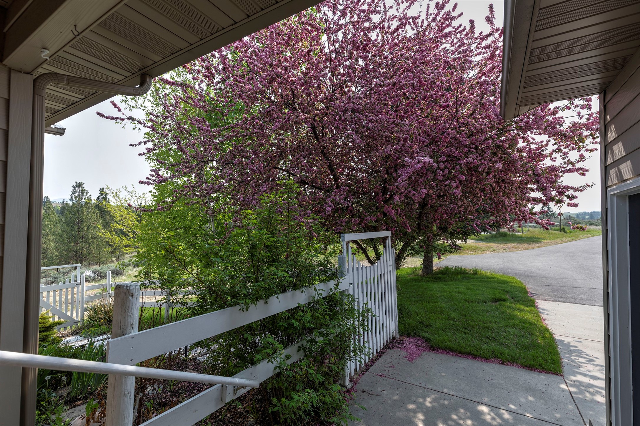 506 Bitterroot Drive