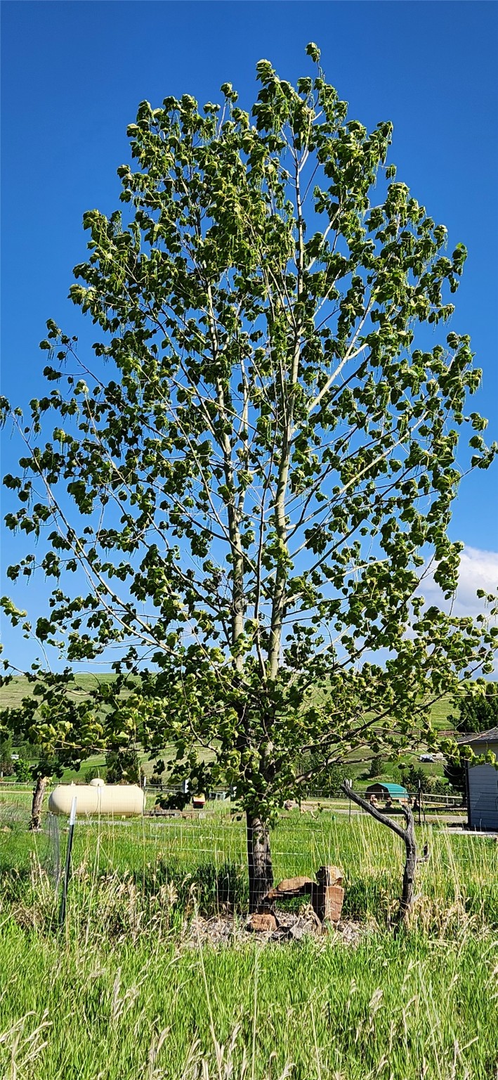 12010 Running Deer Lane