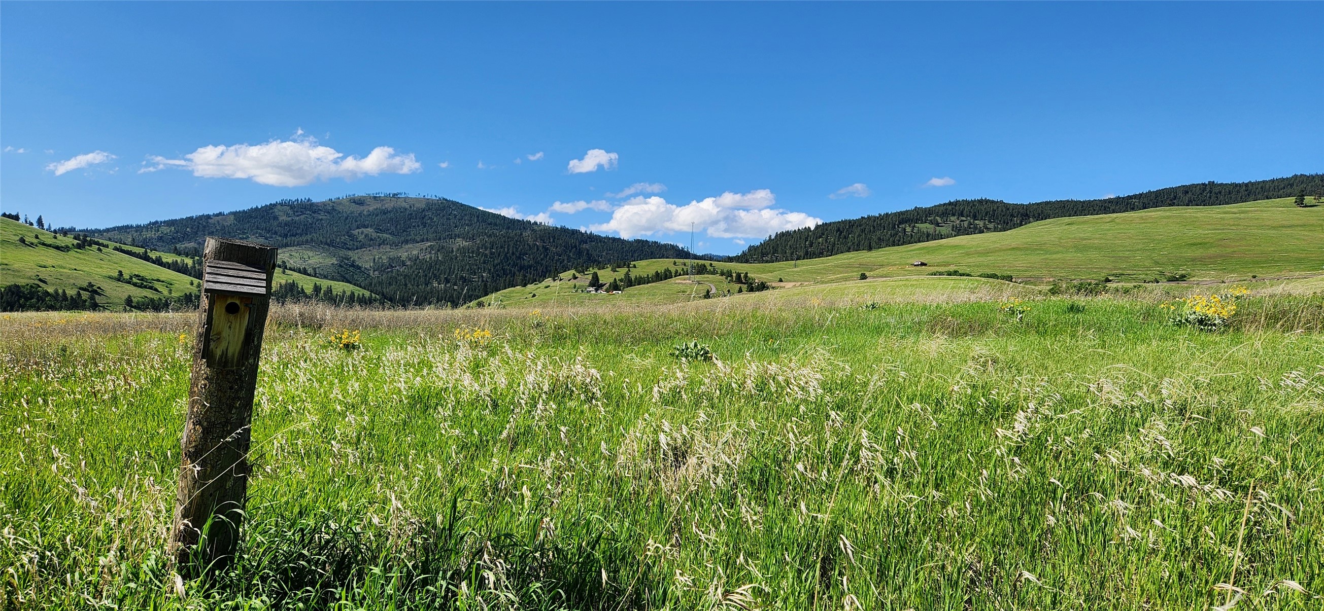 12010 Running Deer Lane