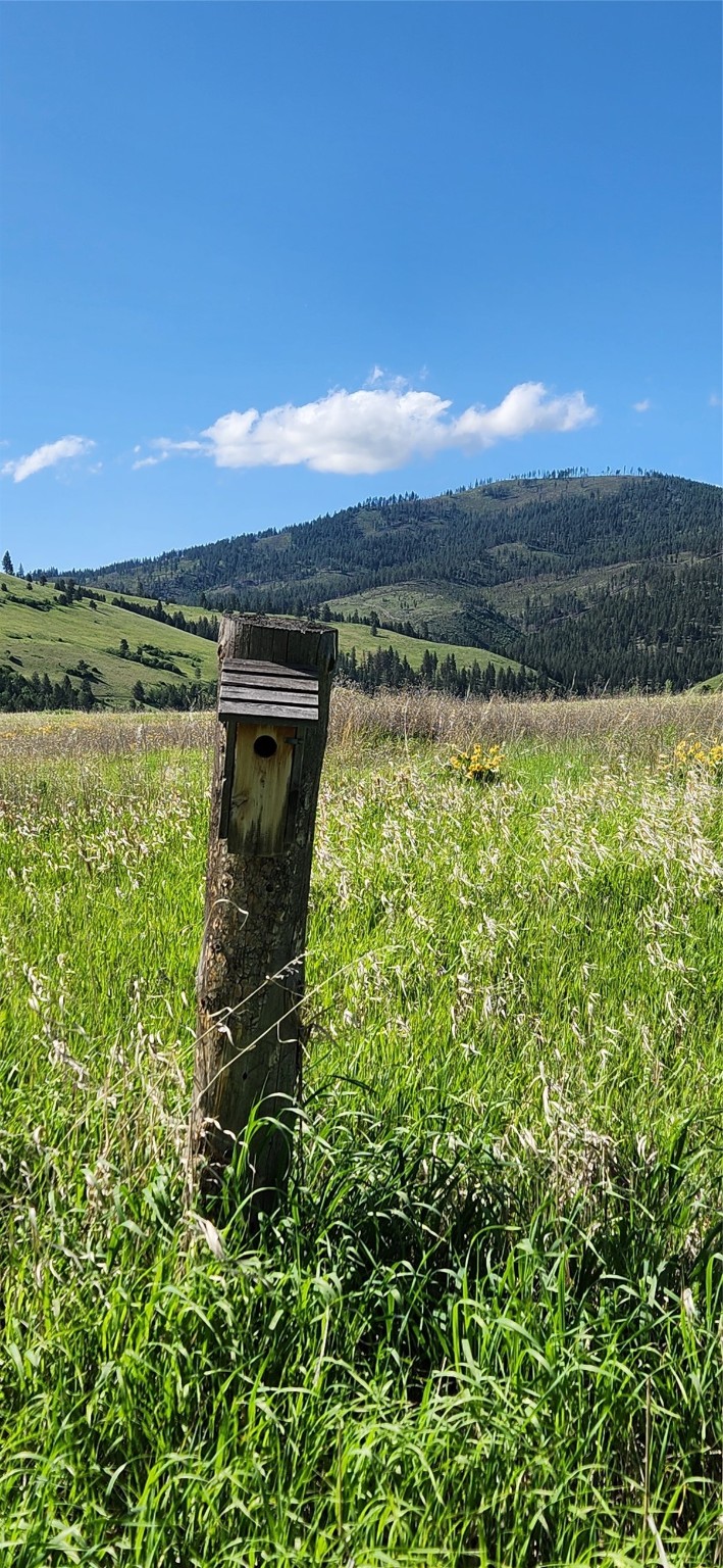 12010 Running Deer Lane