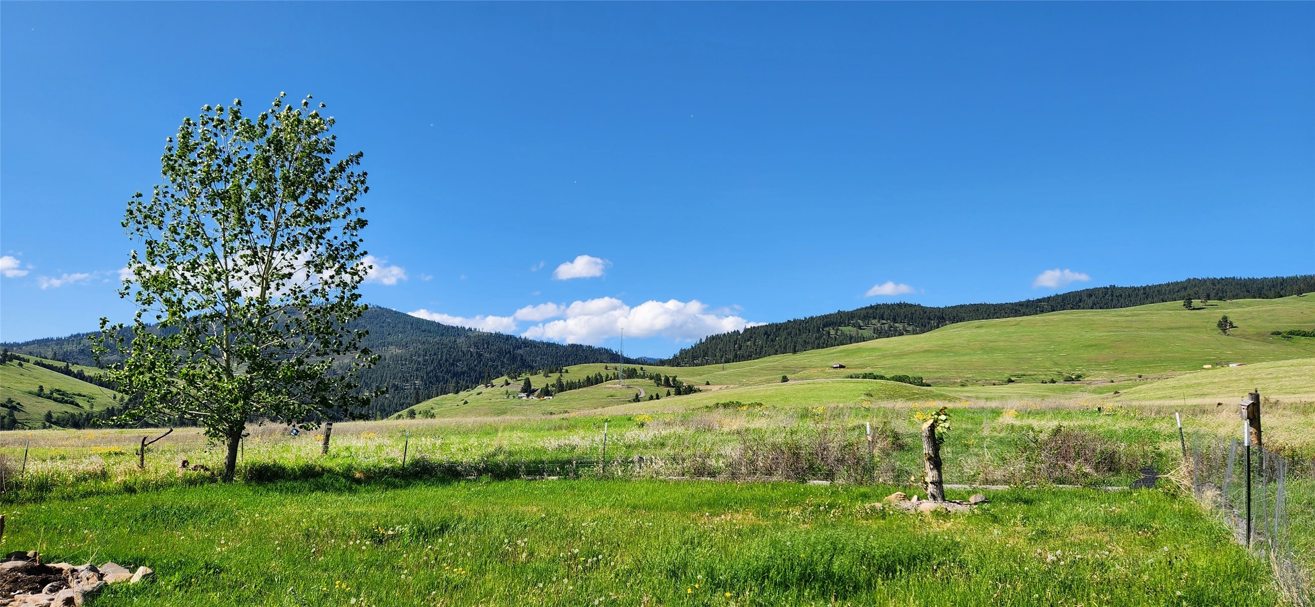 12010 Running Deer Lane