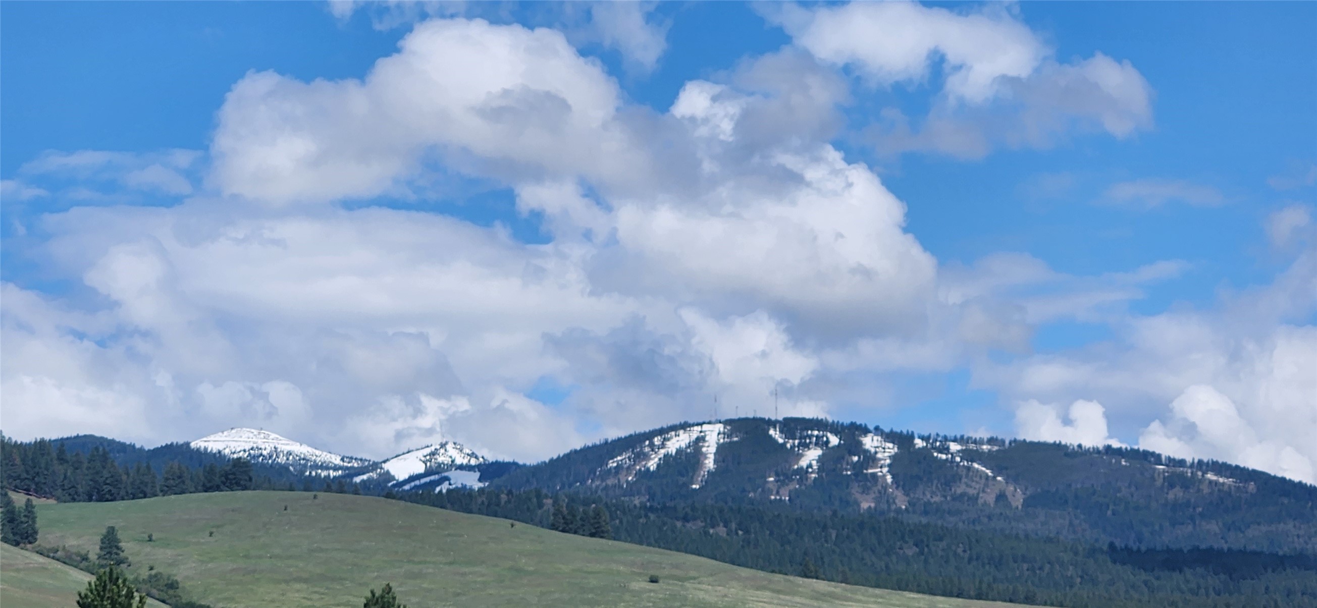 12010 Running Deer Lane