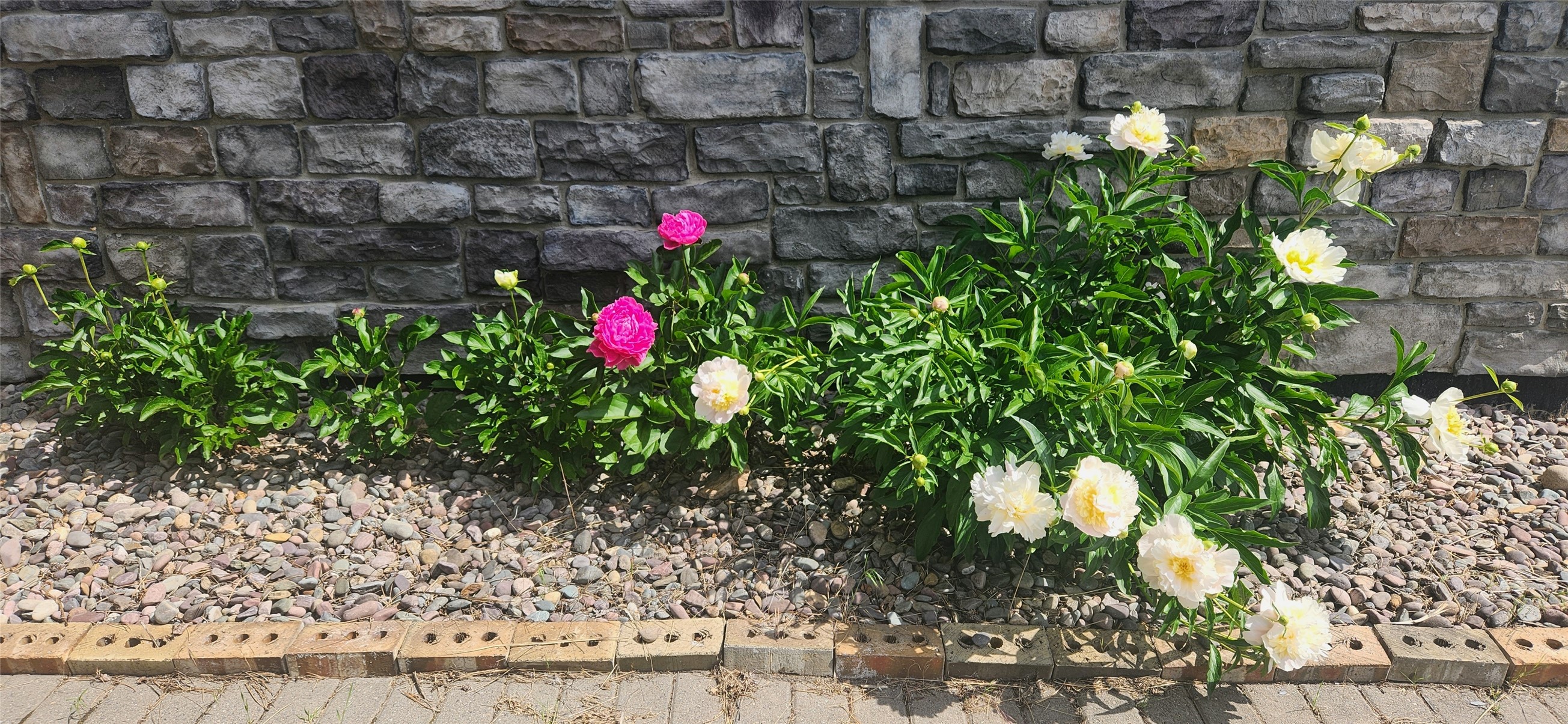 12010 Running Deer Lane