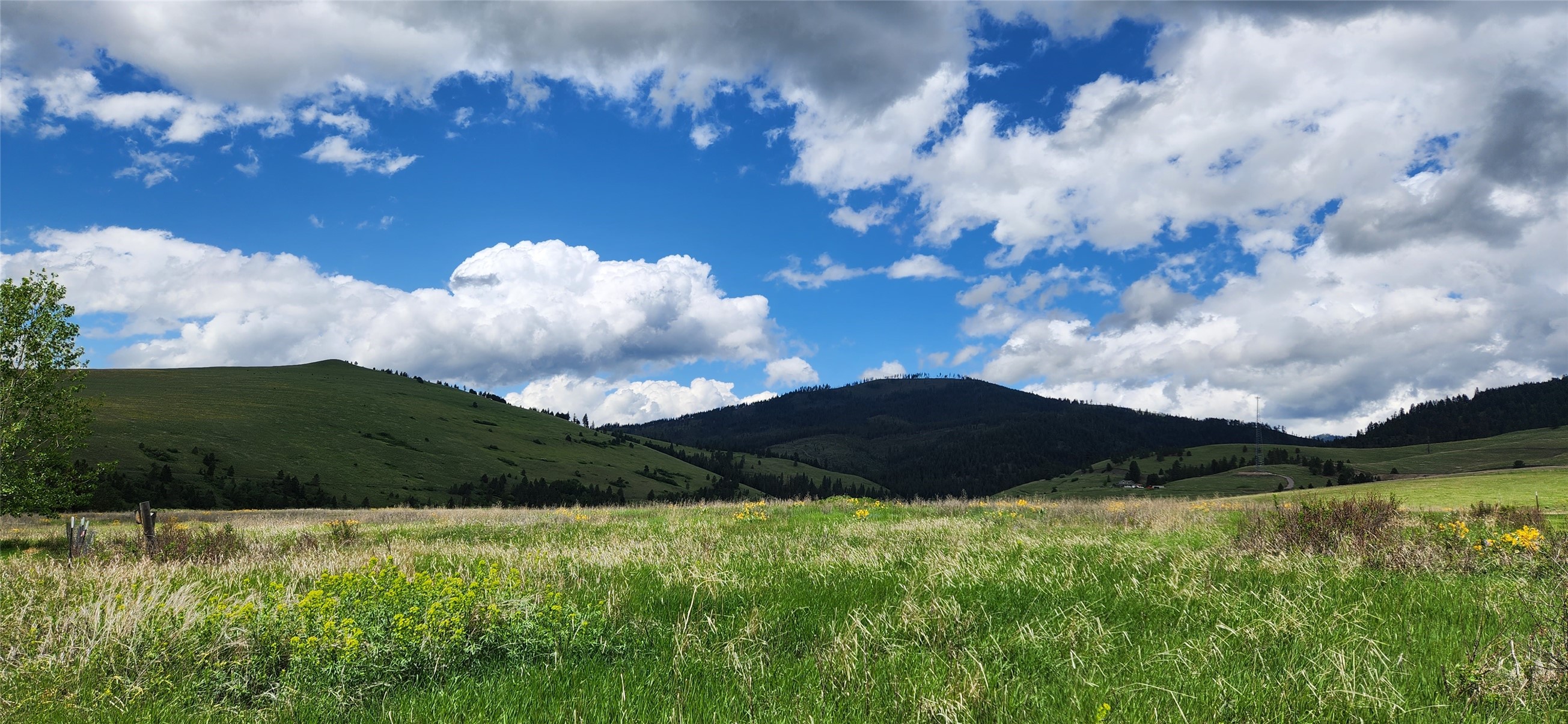 12010 Running Deer Lane