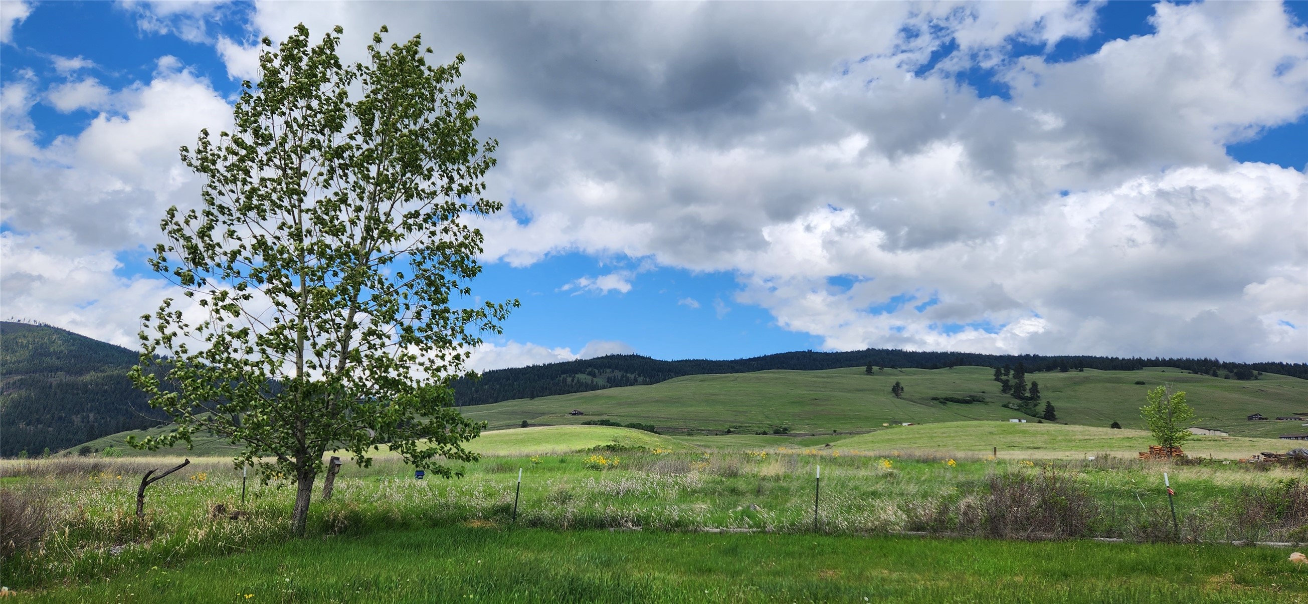 12010 Running Deer Lane