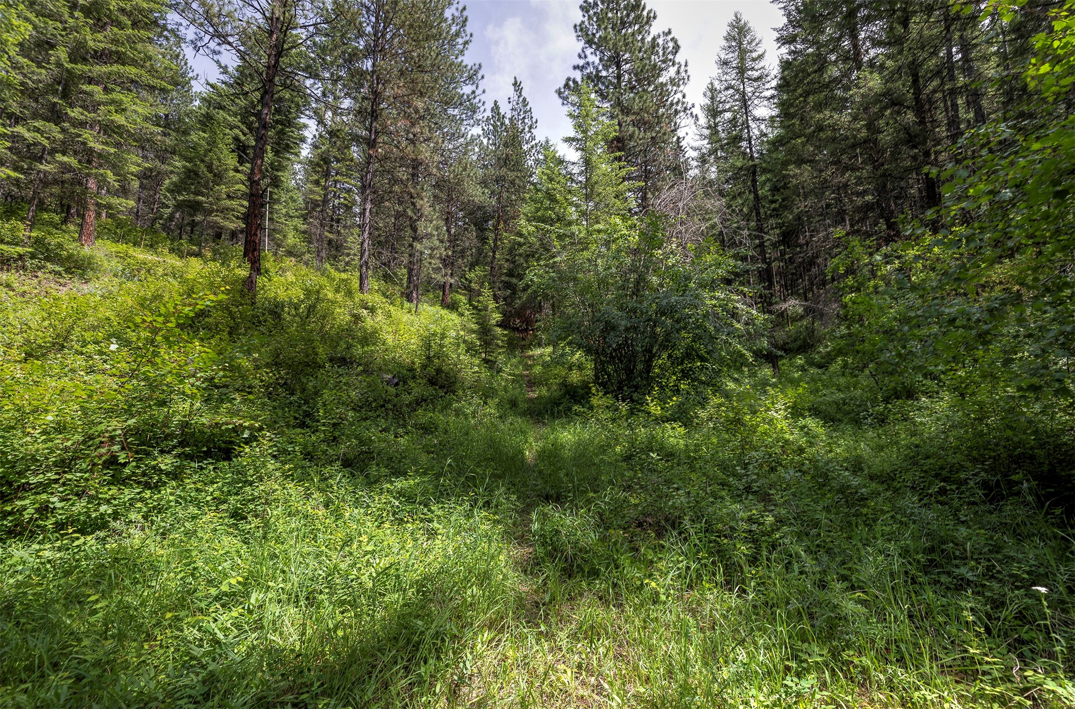 9840 Grant Creek Road