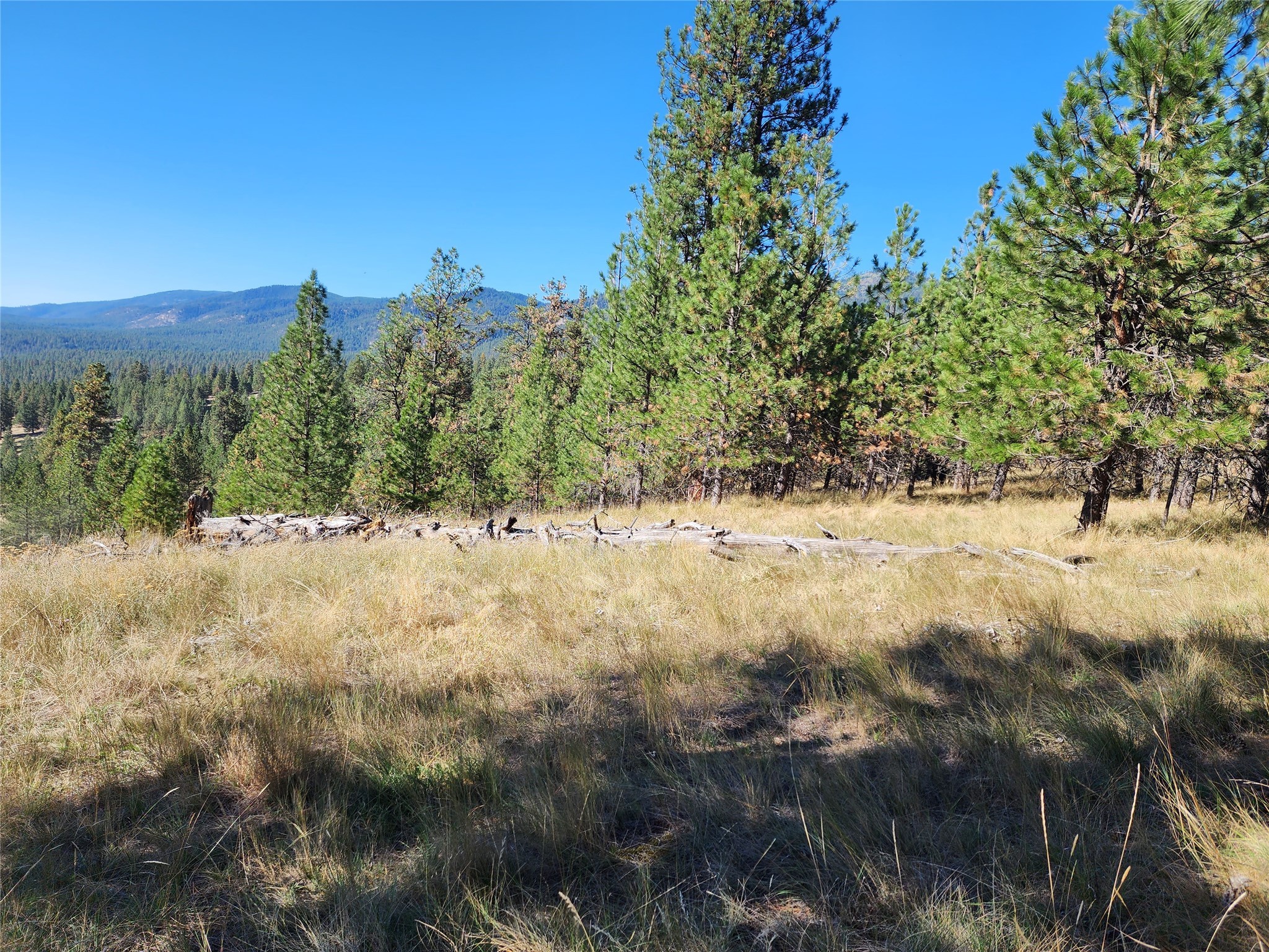 16300 Circle View Drive