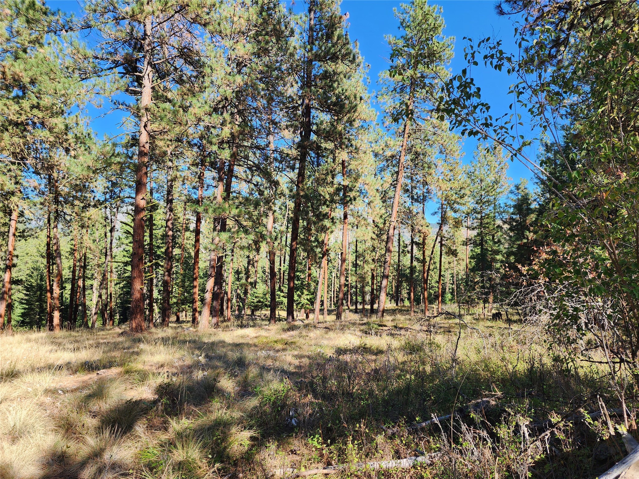 16300 Circle View Drive