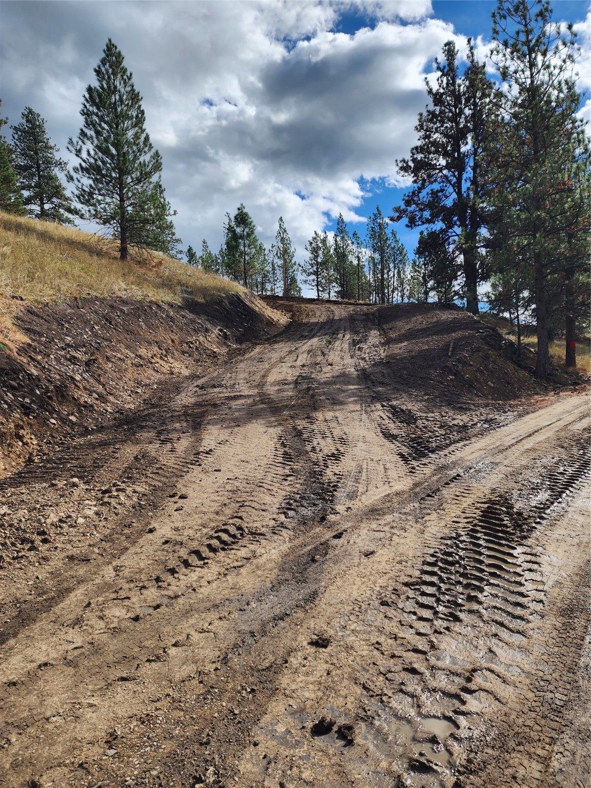 16300 Circle View Drive