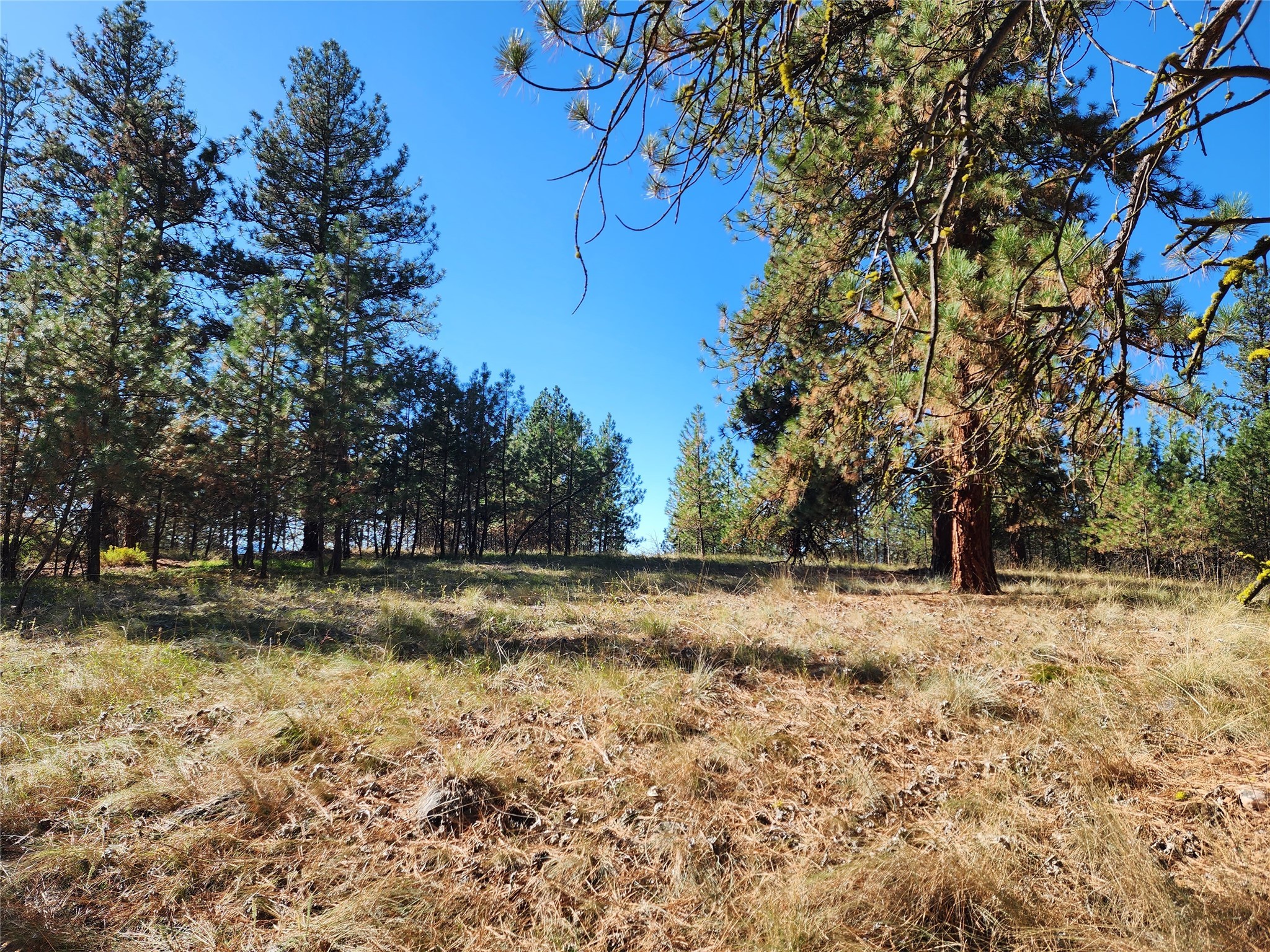 16300 Circle View Drive