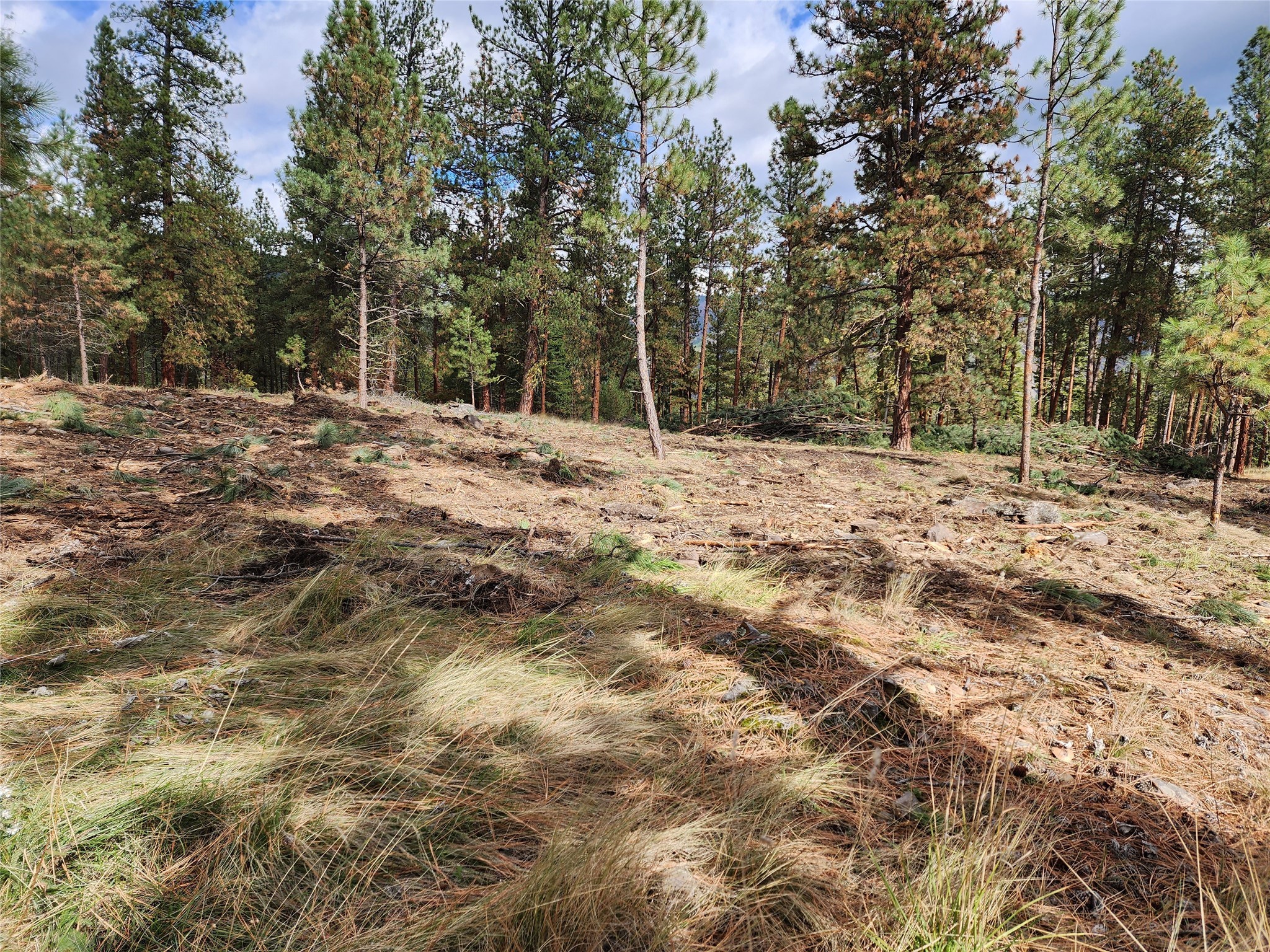 16300 Circle View Drive