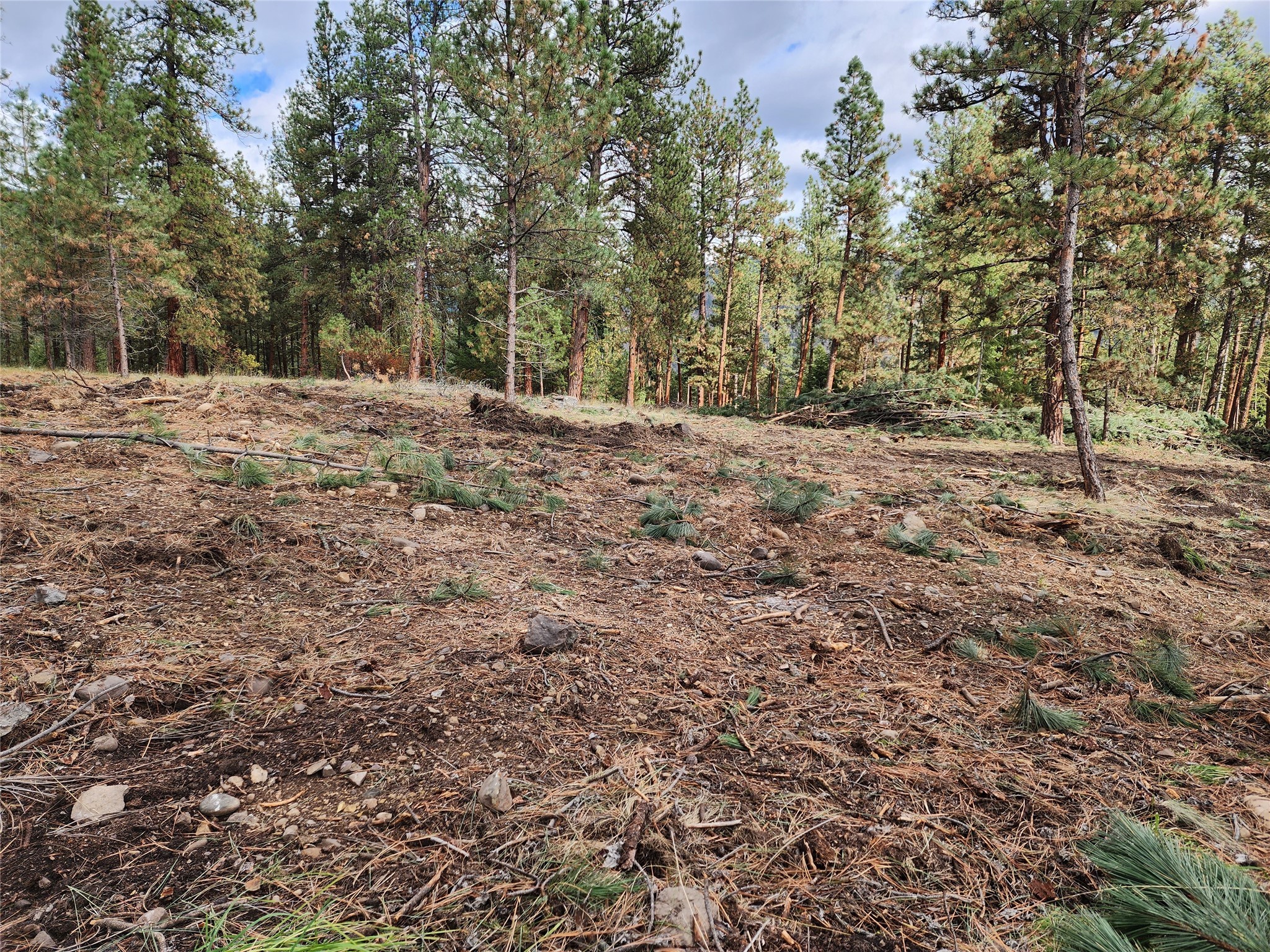 16300 Circle View Drive