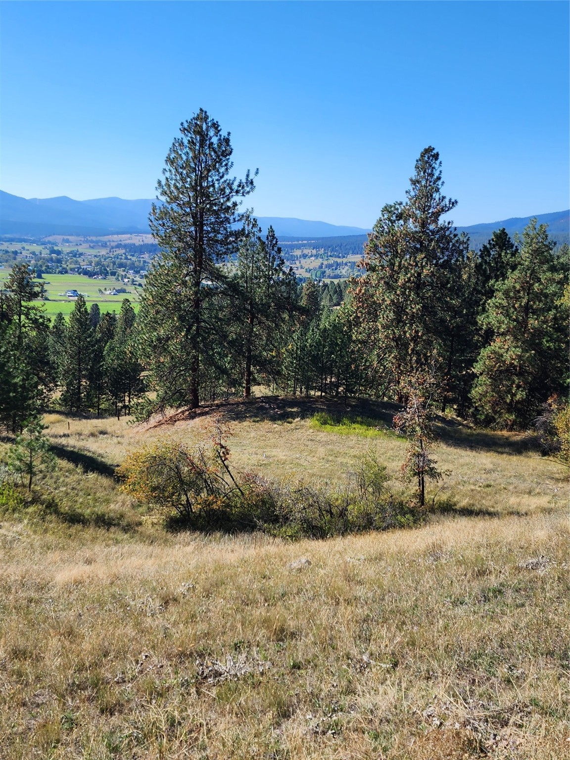 16300 Circle View Drive