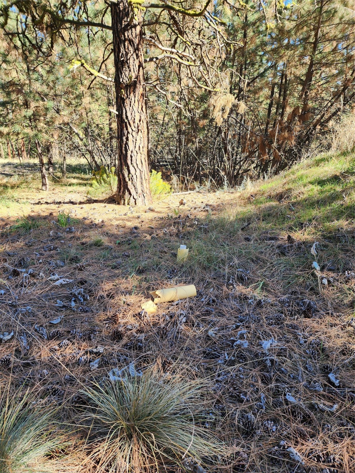 16300 Circle View Drive