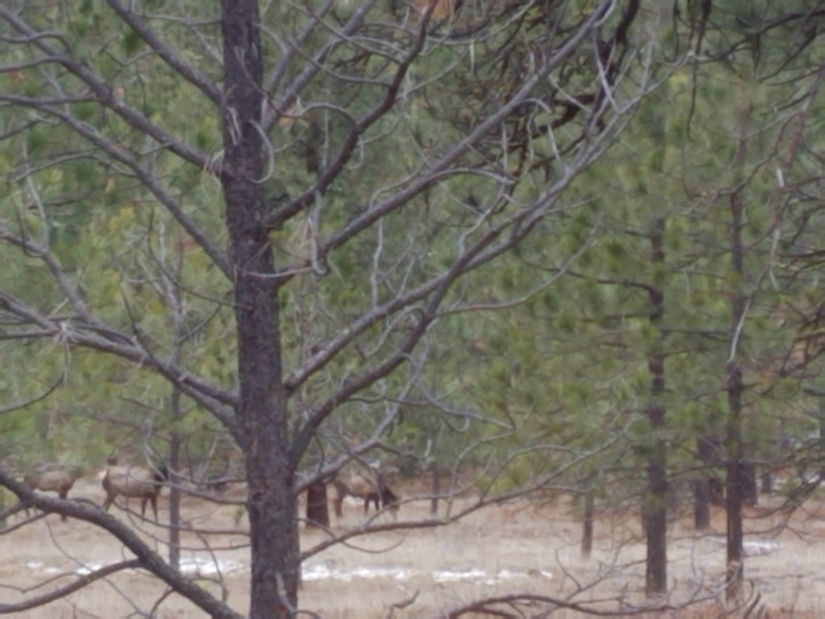 16300 Circle View Drive