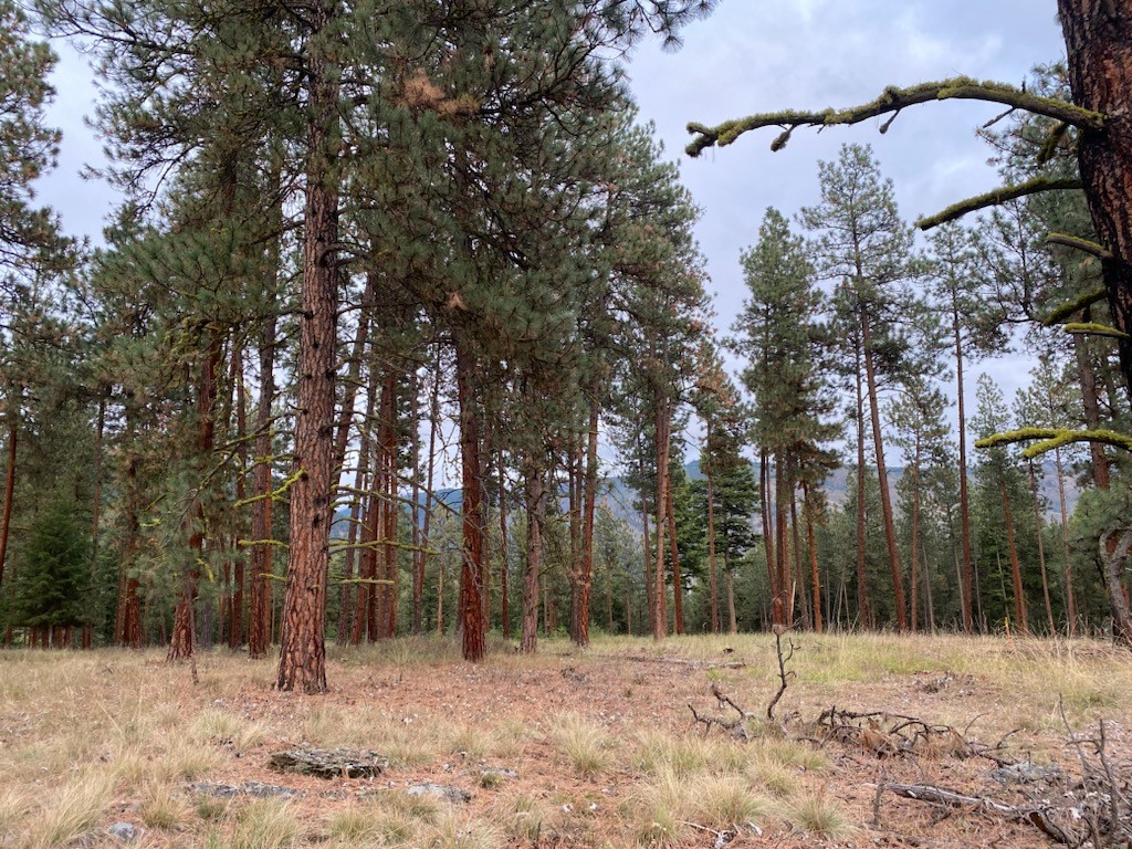 16300 Circle View Drive