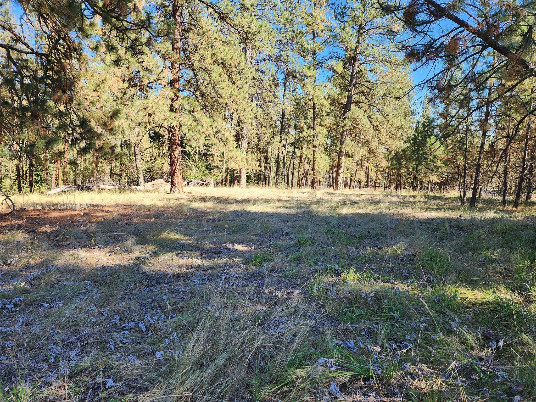 16300 Circle View Drive