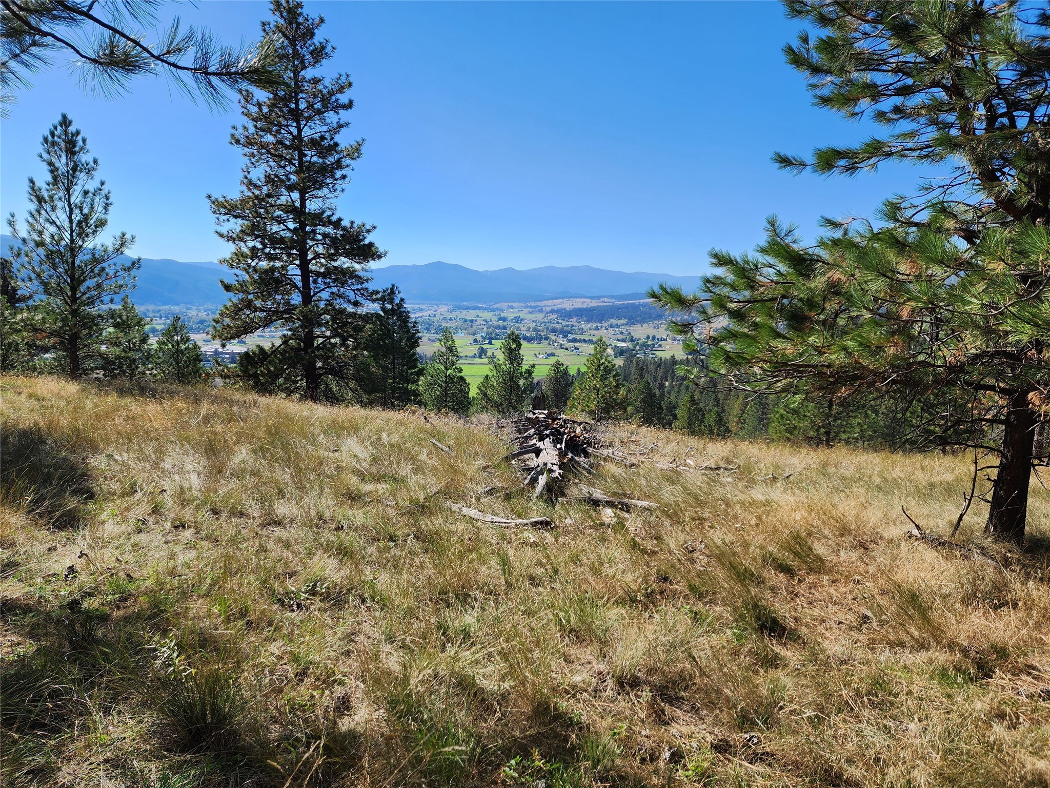 16300 Circle View Drive