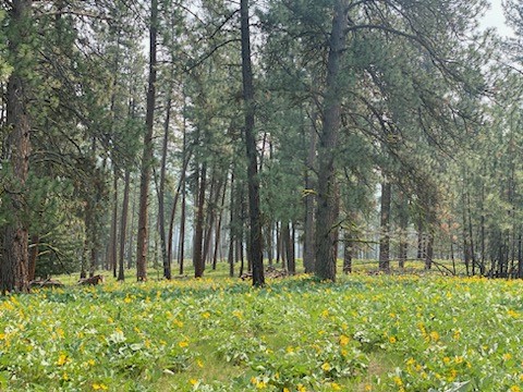 16300 Circle View Drive